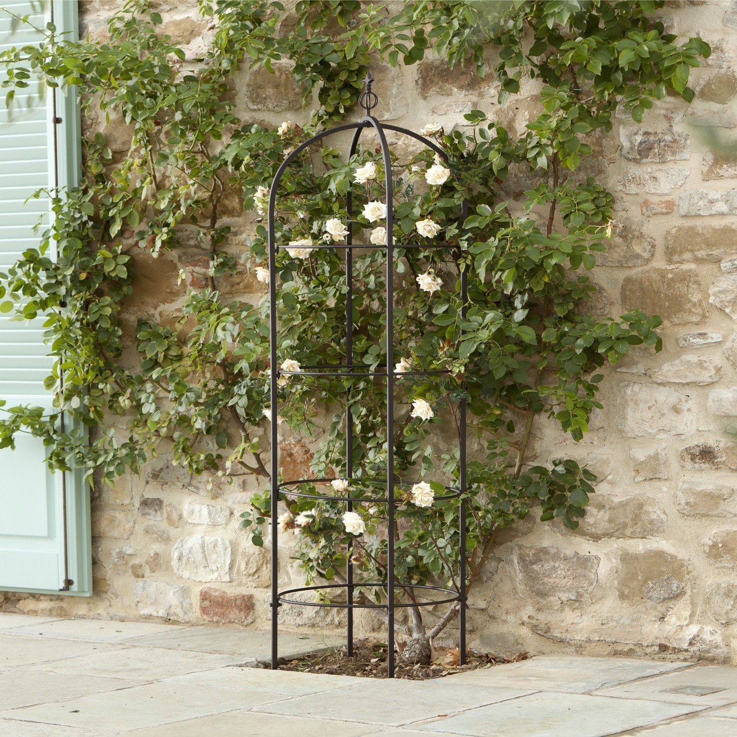 Obélisque pour plantes grimpantes Besson Treillis de jardin en métal noir pour soutenir les plantes grimpantes devant un mur en pierre avec feuillage vert
