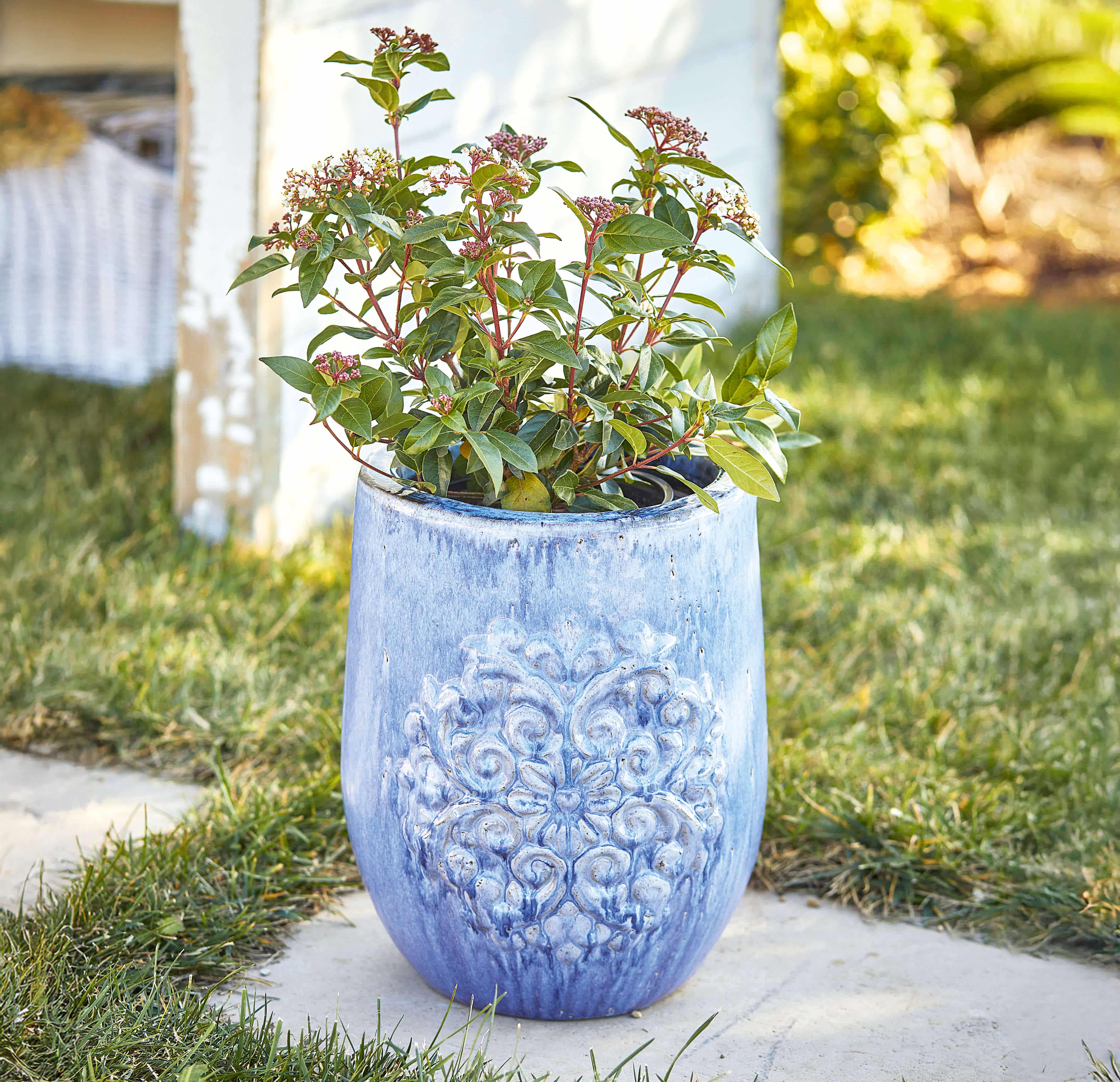 Jardinière en céramique bleue avec relief décoratif, parfaite pour jardin ou terrasse, design élégant