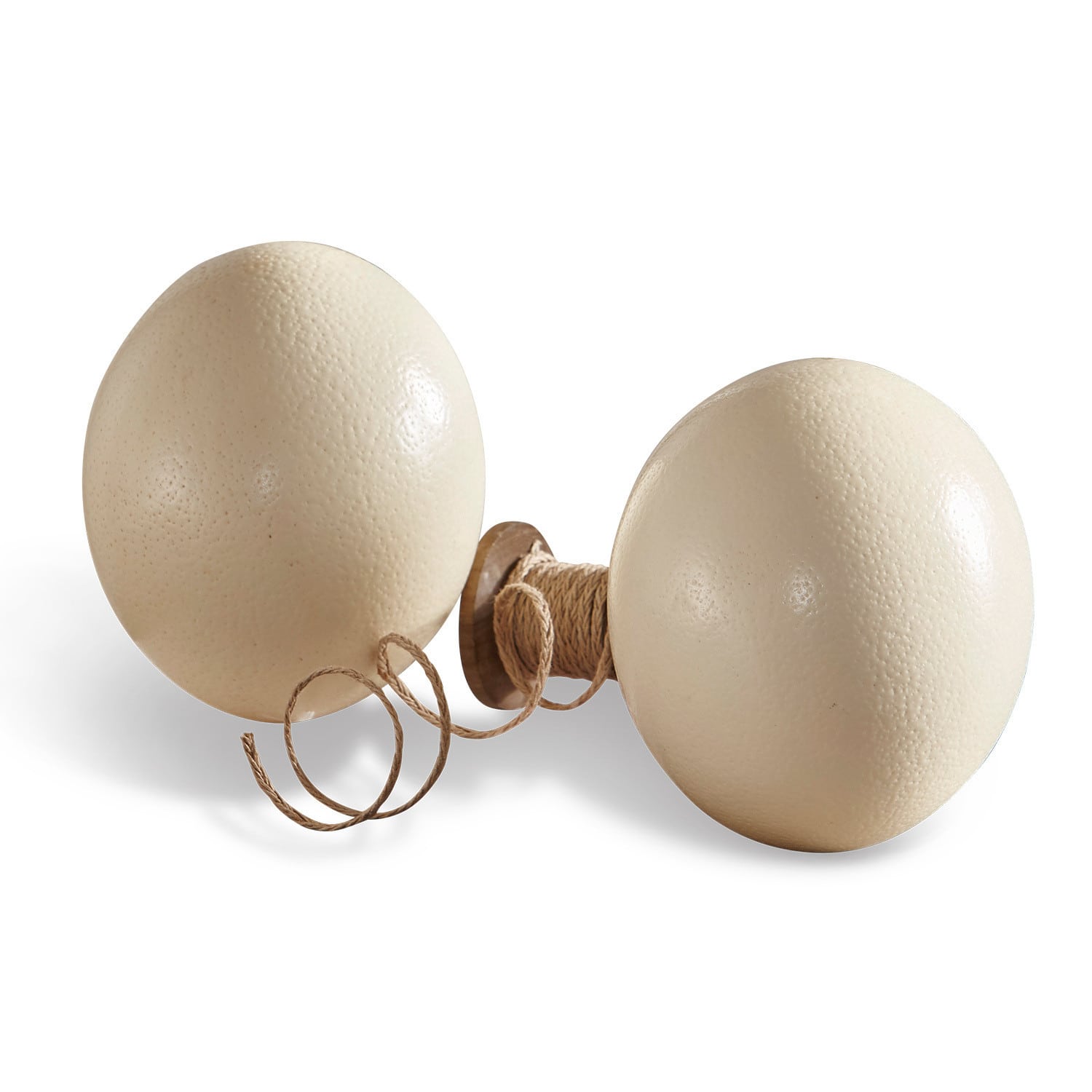 Lot de 2 œufs d'autruche Égon