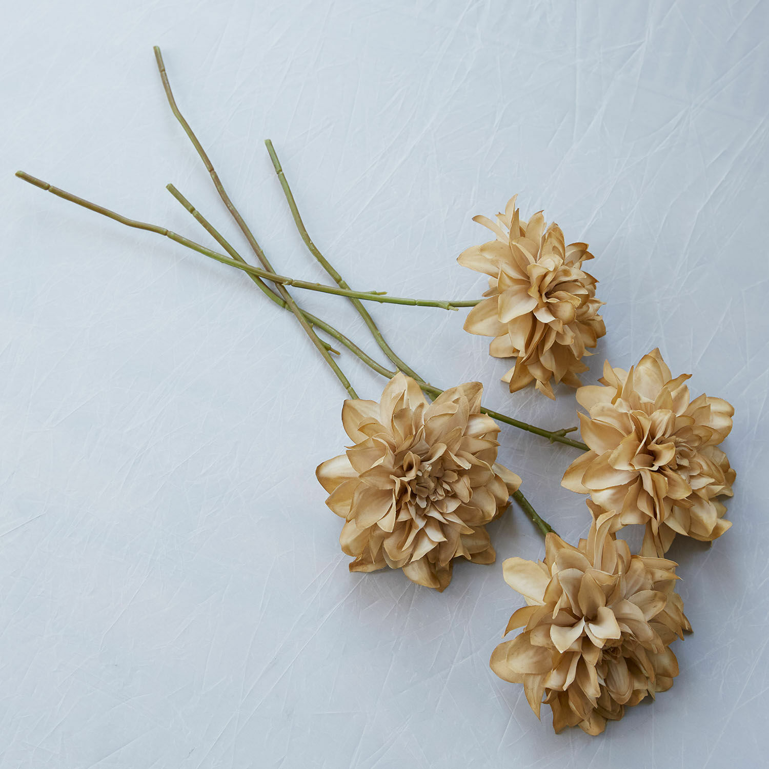 Lot de 4 fleurs décoratives Cappellina