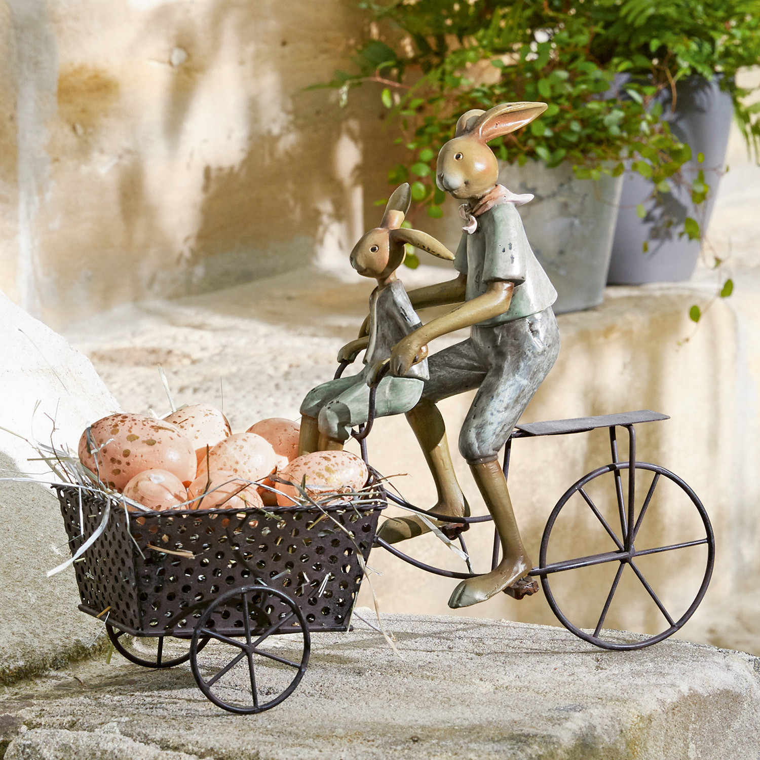 Lapin Caen