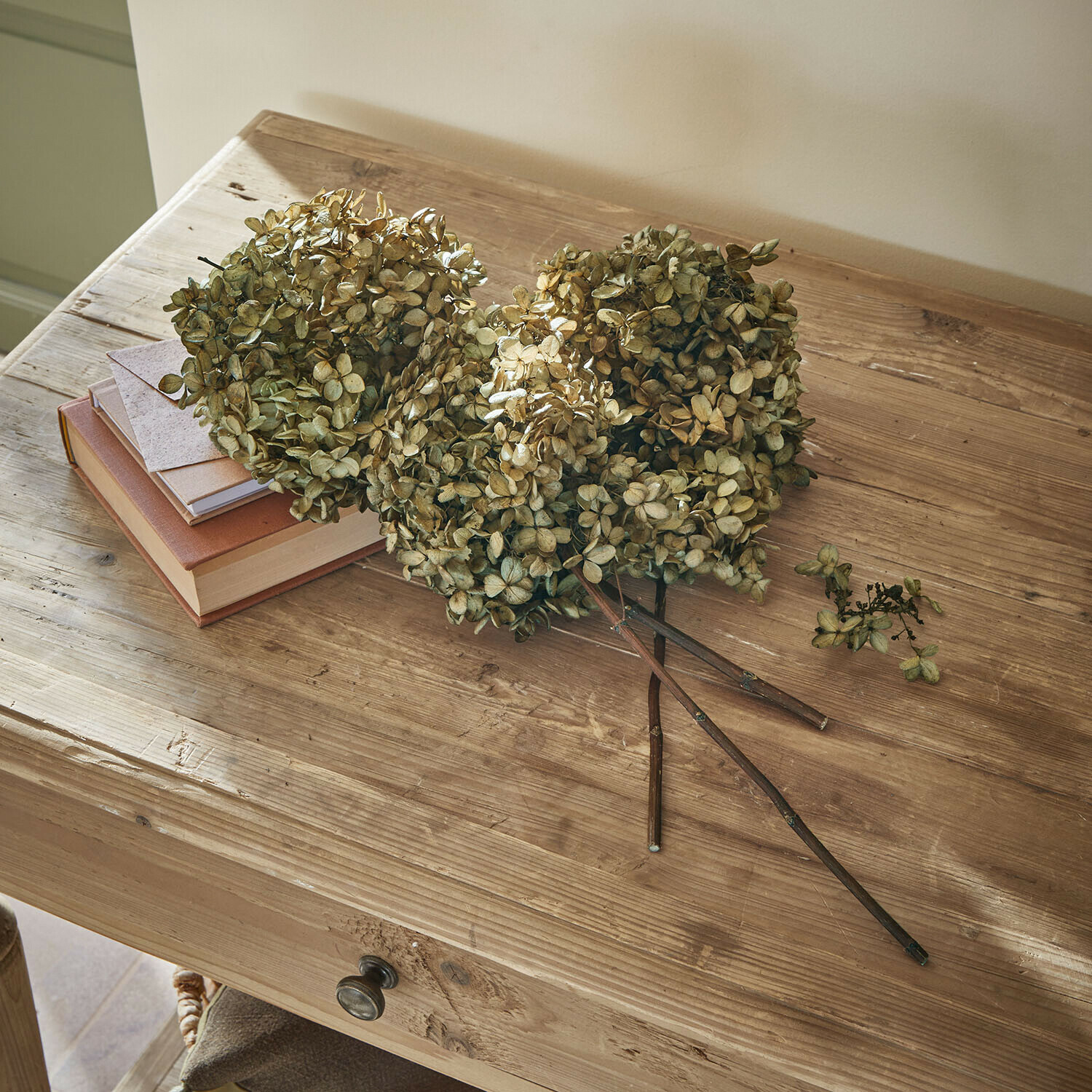 Lot de 3 fleurs séchées Brissonne Fleurs séchées d'hortensia beige posées sur une table en bois avec des livres et une enveloppe