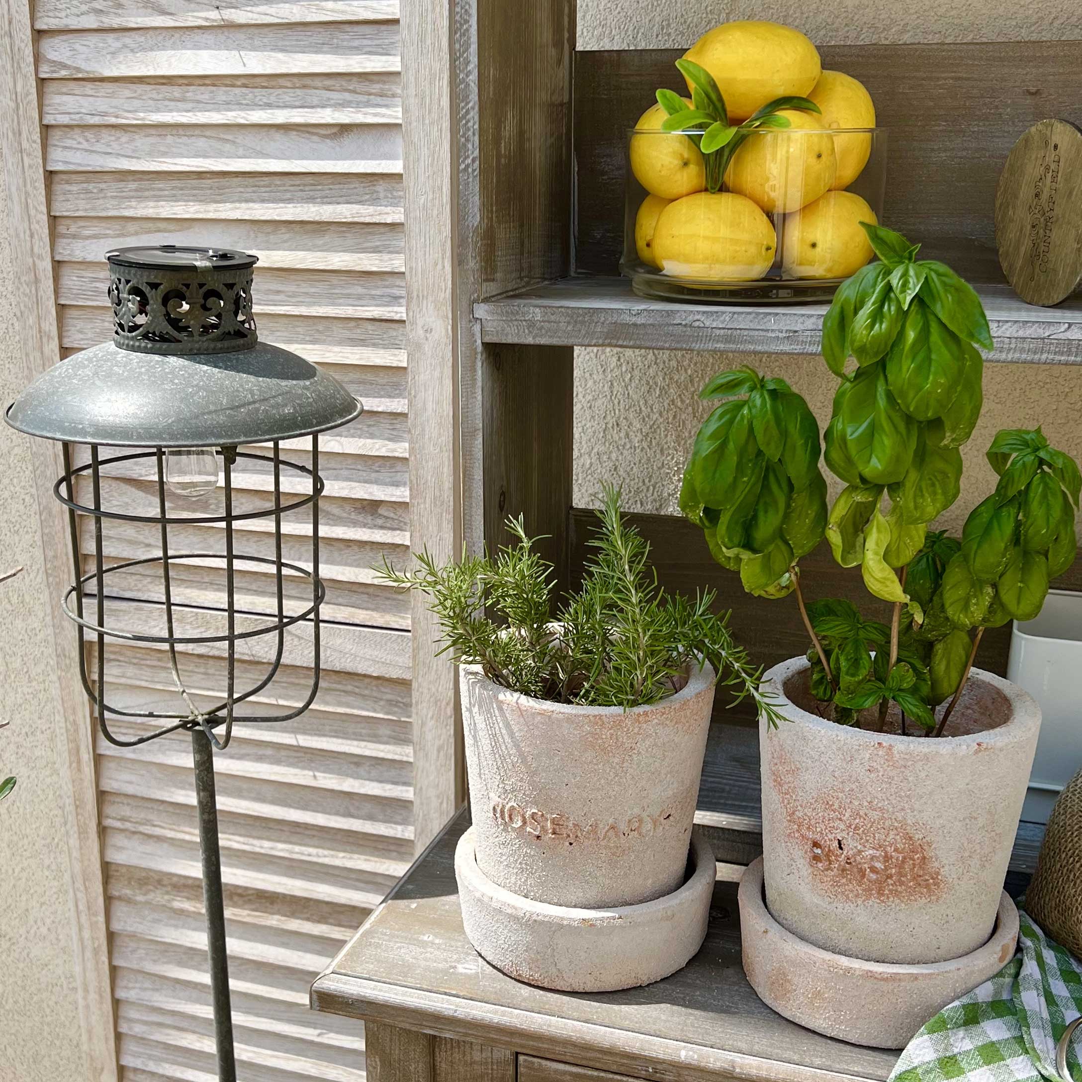 Pots en terre cuite avec romarin et basilic sur une table en bois à côté d'une lampe de jardin