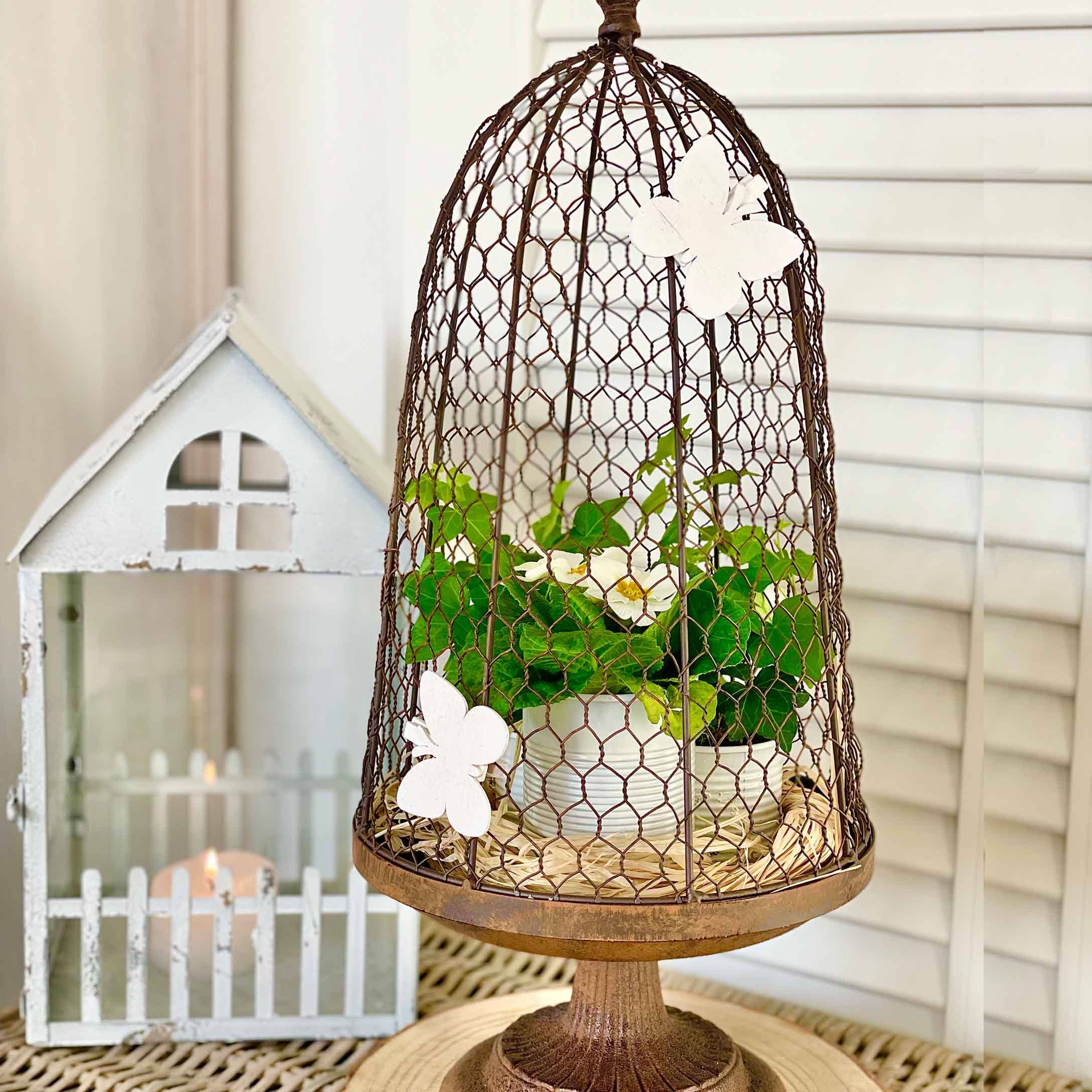 Cloche décorative en métal rouillé avec papillons blancs et plante verte en pot, style rustique
