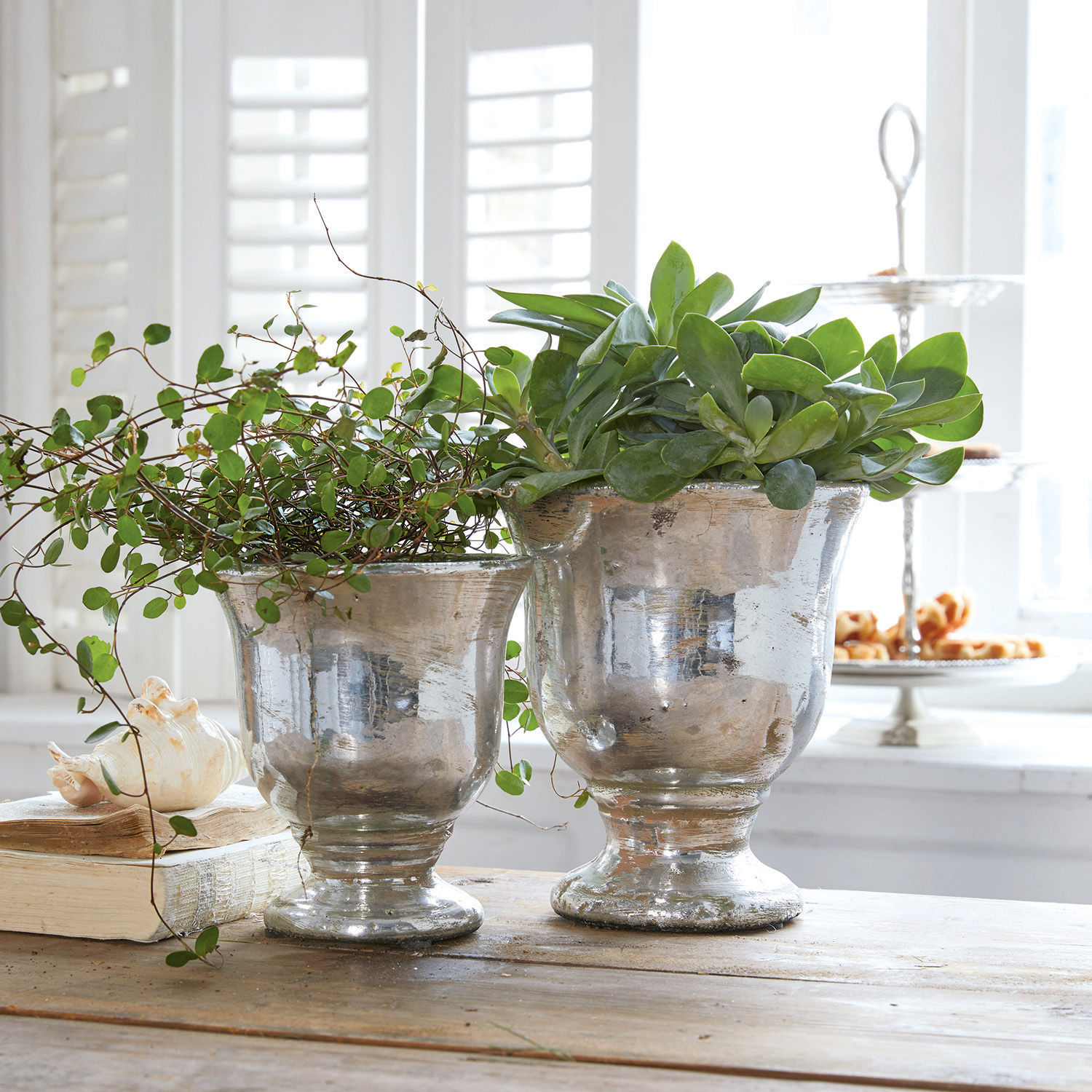 Lot de 2 cache-pots Banon Deux pots en métal argenté avec plantes vertes sur une table en bois dans un intérieur lumineux
