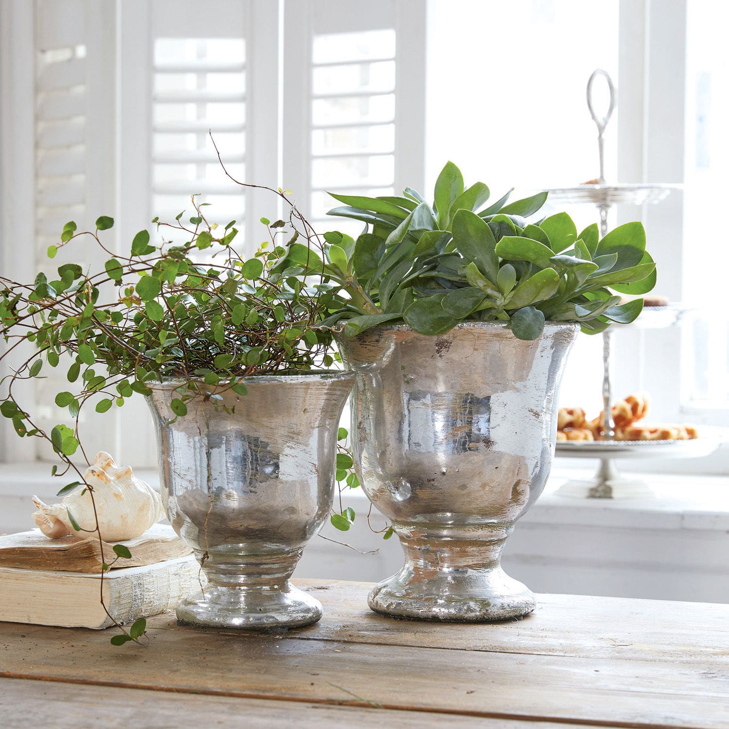 Lot de 2 cache-pots Banon Deux pots en métal argenté avec plantes vertes sur une table en bois dans un intérieur lumineux