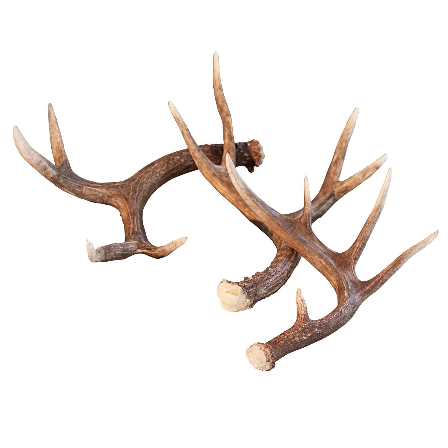 Lot de 3 décorations bois Antier