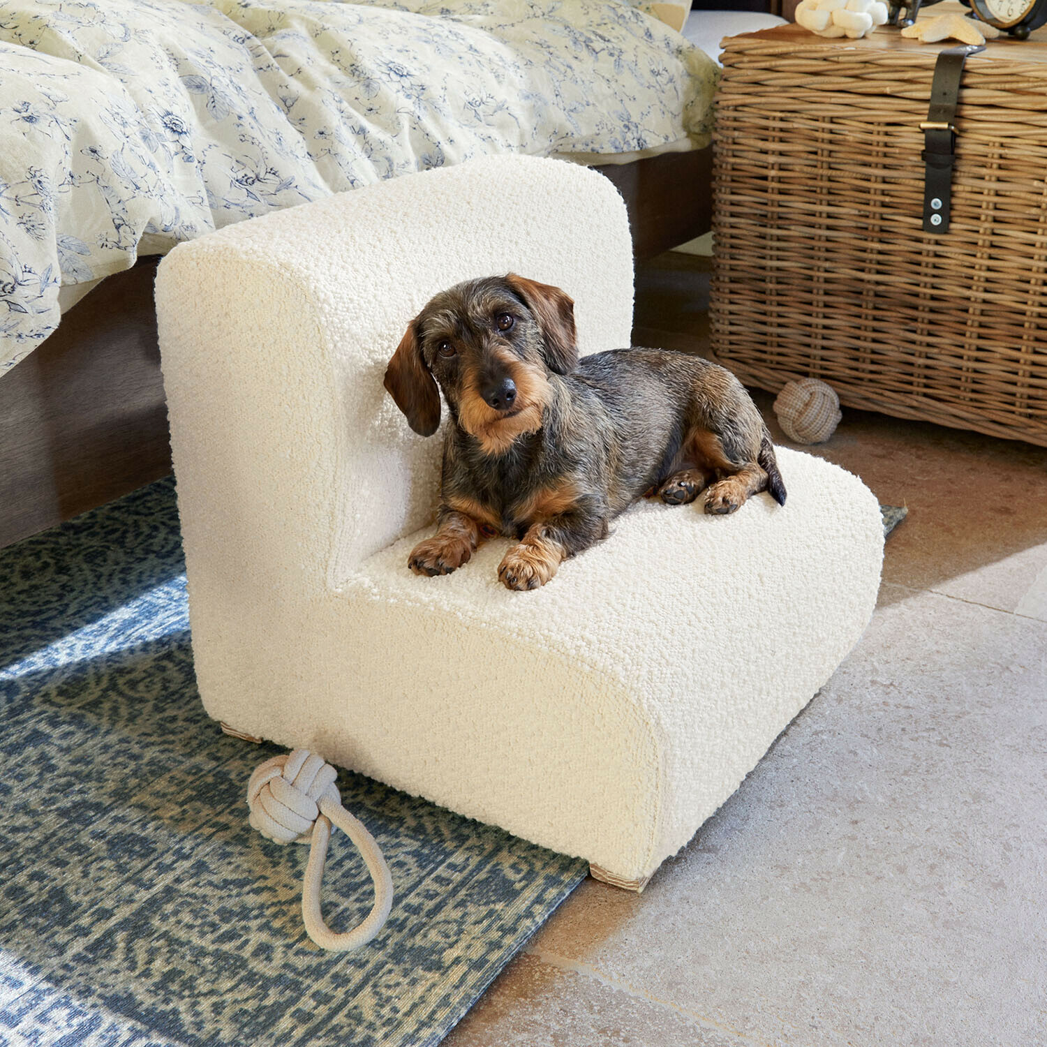Petit teckel allongé sur un fauteuil crème en tissu doux dans une chambre chaleureuse avec tapis