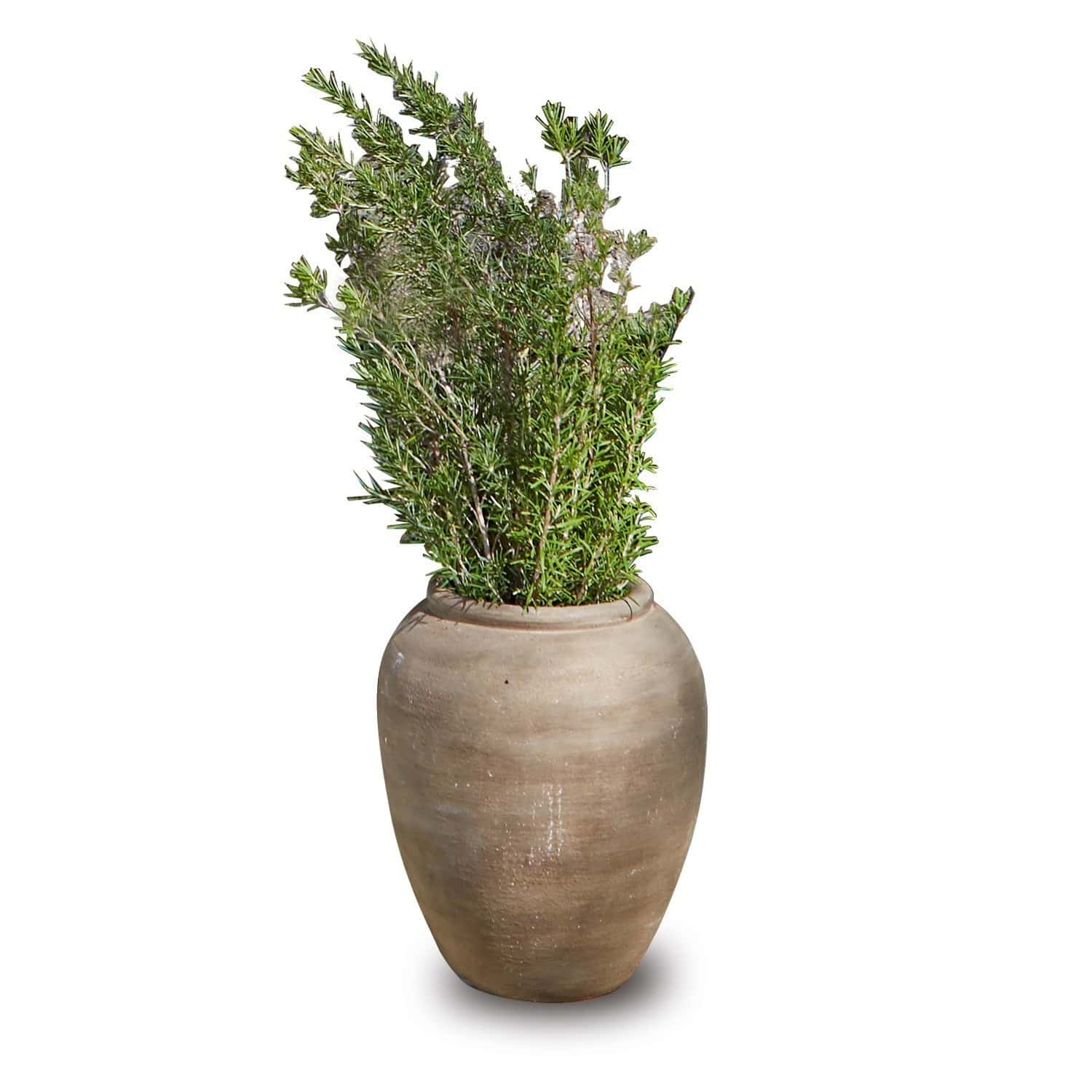 Cache-pot Venise
