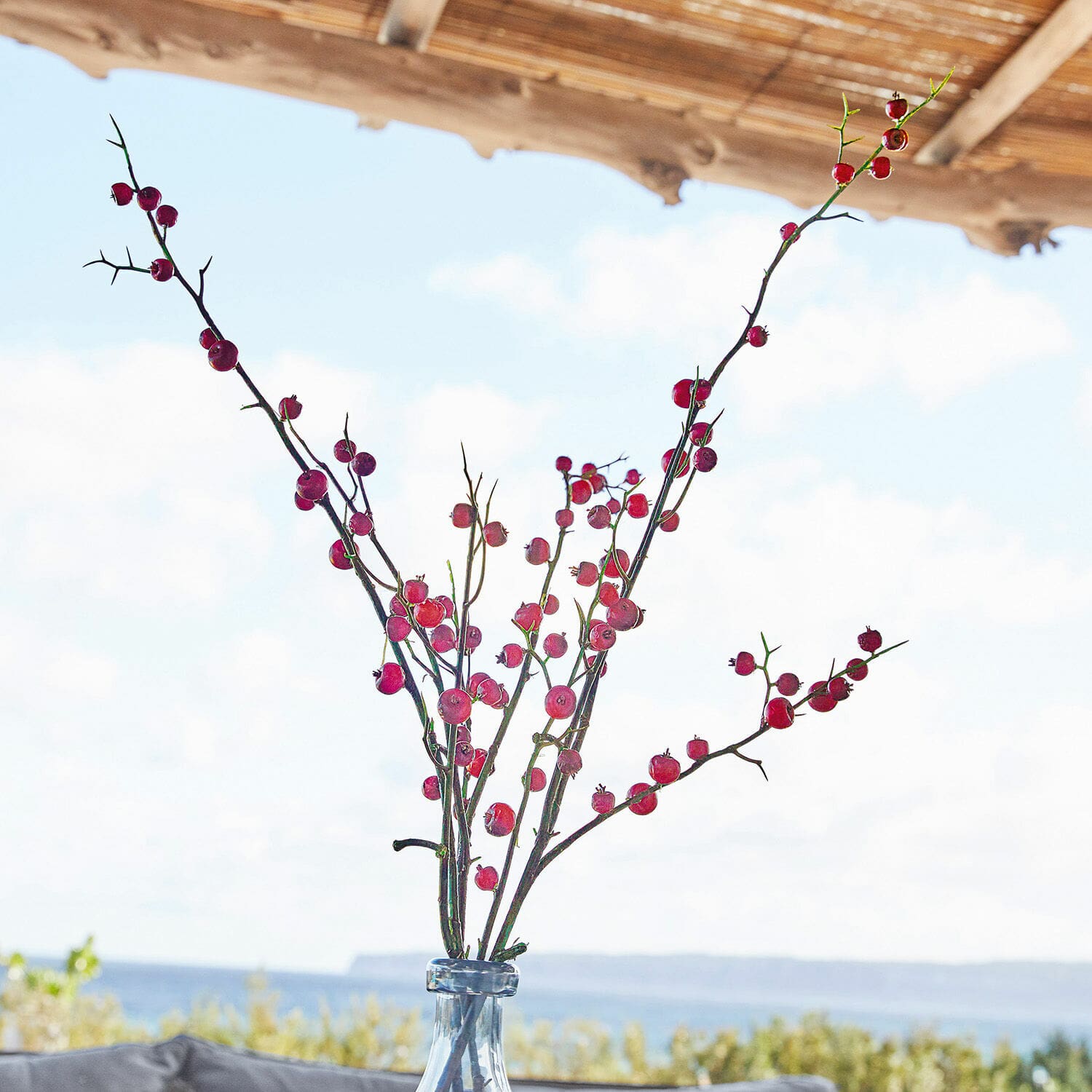 Branche décorative Dillon