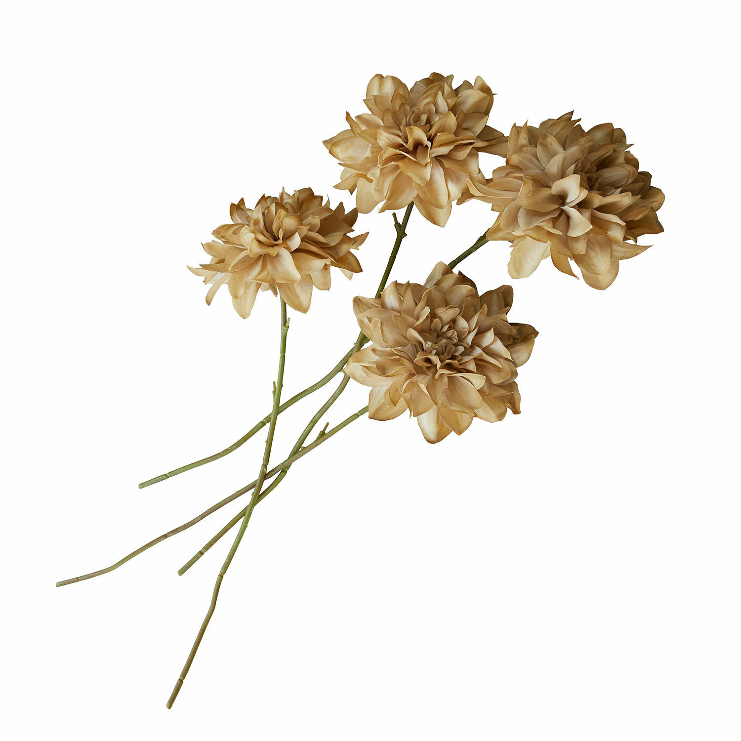 Lot de 4 fleurs décoratives Cappellina