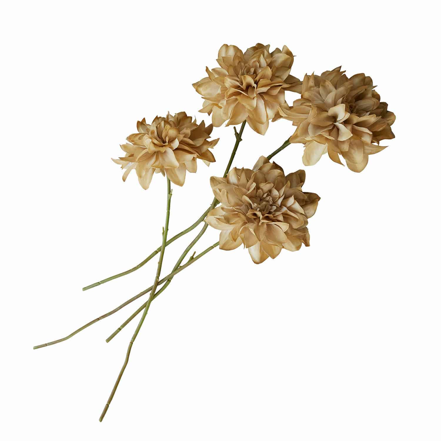 Lot de 4 fleurs décoratives Cappellina Fleurs artificielles décoratives beige avec tiges vertes pour décoration intérieure élégante