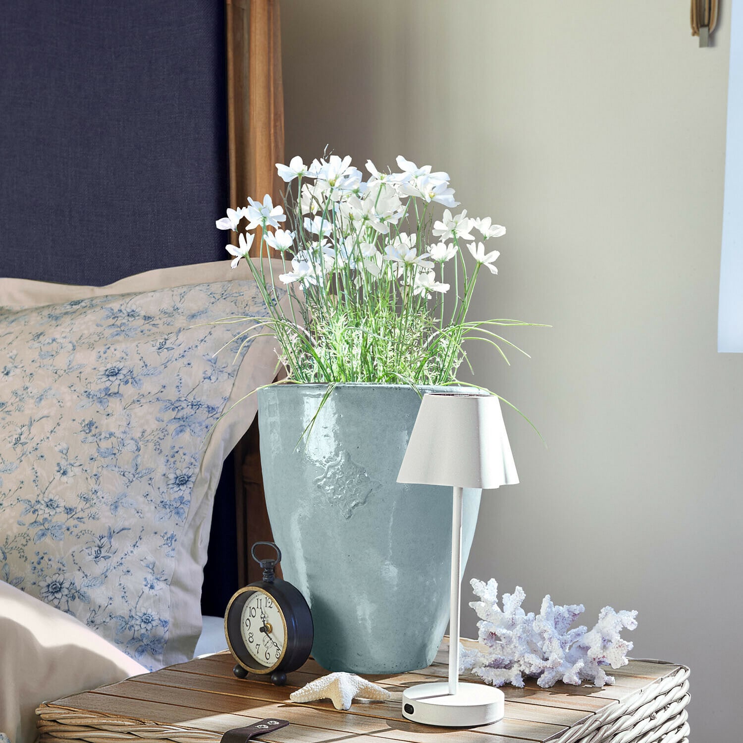 Plante en pot décorative Harmoise