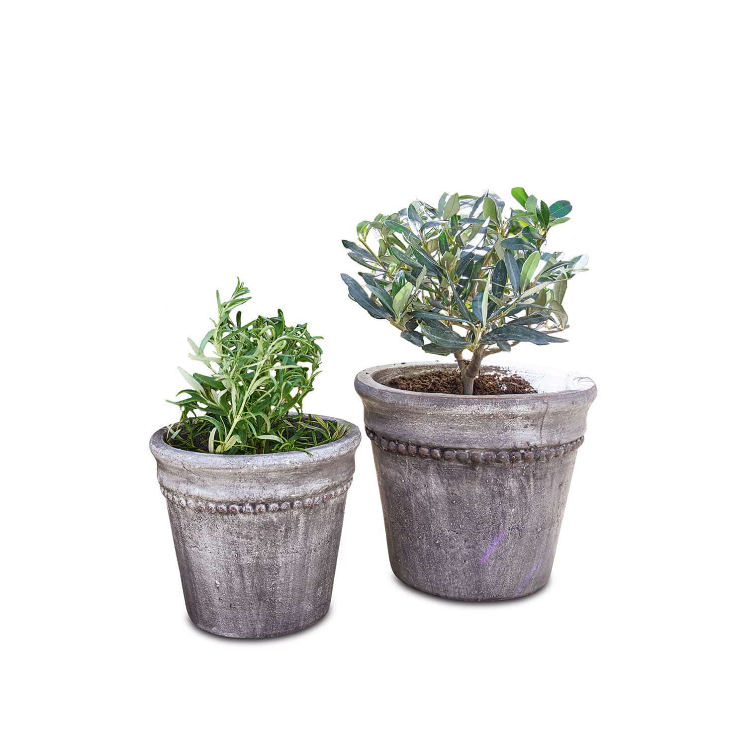 Lot de 2 cache-pots Halston