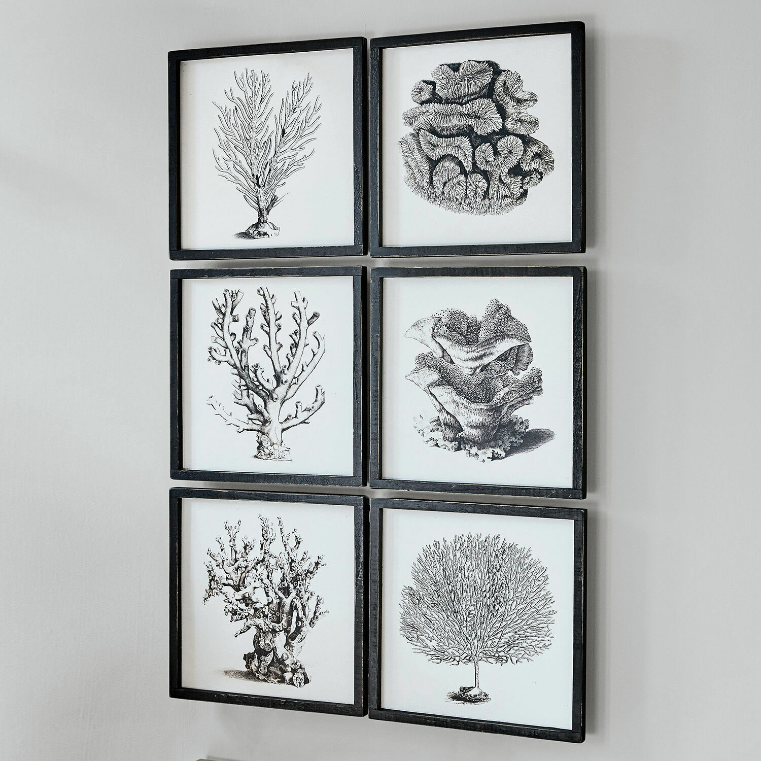 Lot de 6 tableaux Darney
