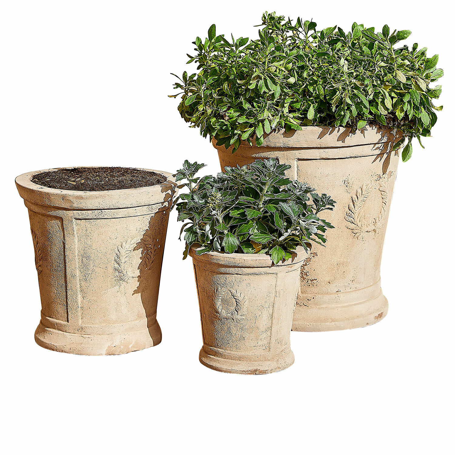 Lot de 3 cache-pots Nesrin Ensemble de trois pots en terre cuite beige avec plantes, parfait pour jardin et décoration intérieure