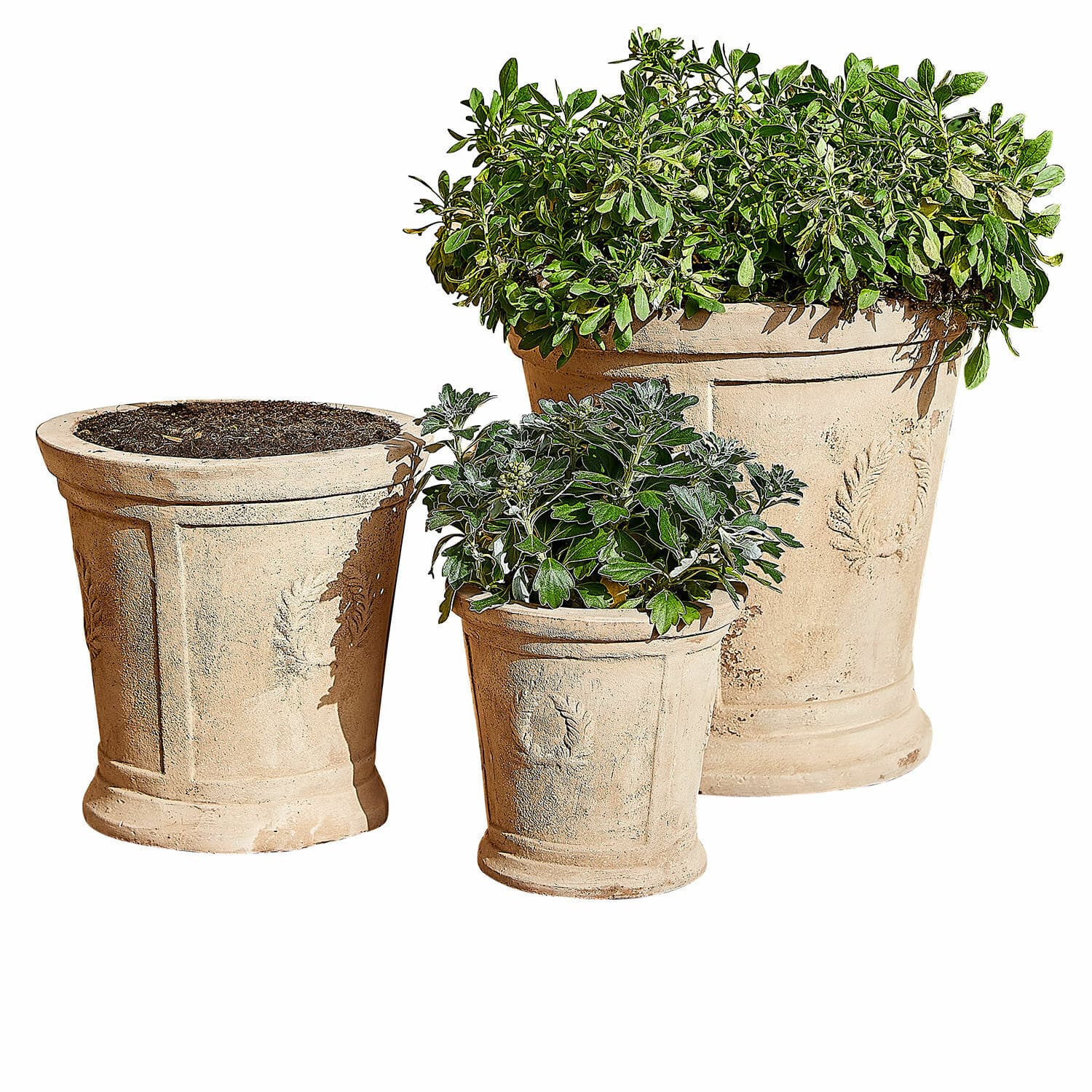 Lot de 3 cache-pots Nesrin Ensemble de trois pots en terre cuite beige avec plantes, parfait pour jardin et décoration intérieure