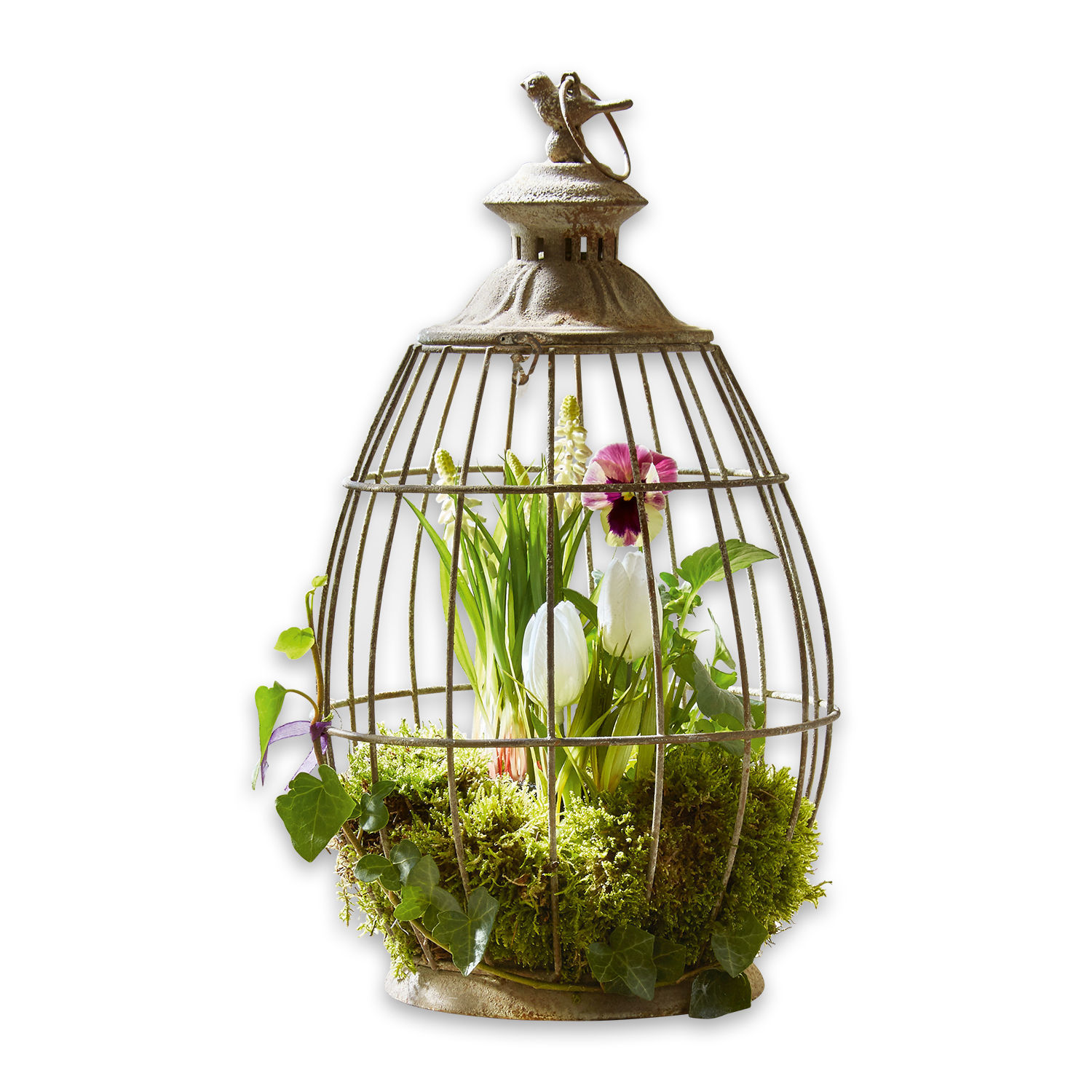 Lanterne Morena Cage décorative en métal avec oiseau, mousse verte et fleurs à l'intérieur, décoration intérieure