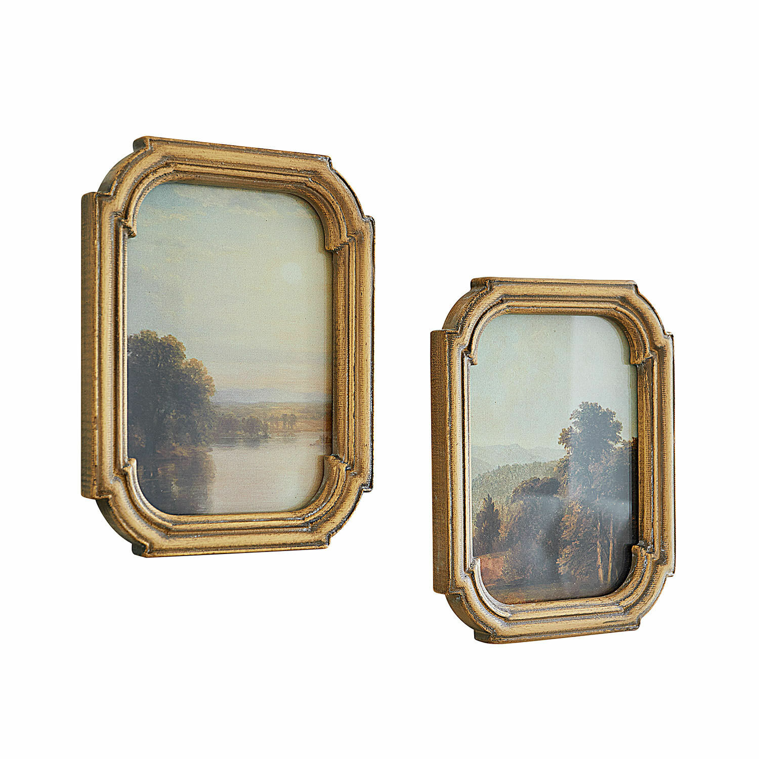 Lot de 2 tableaux Fleuroix
