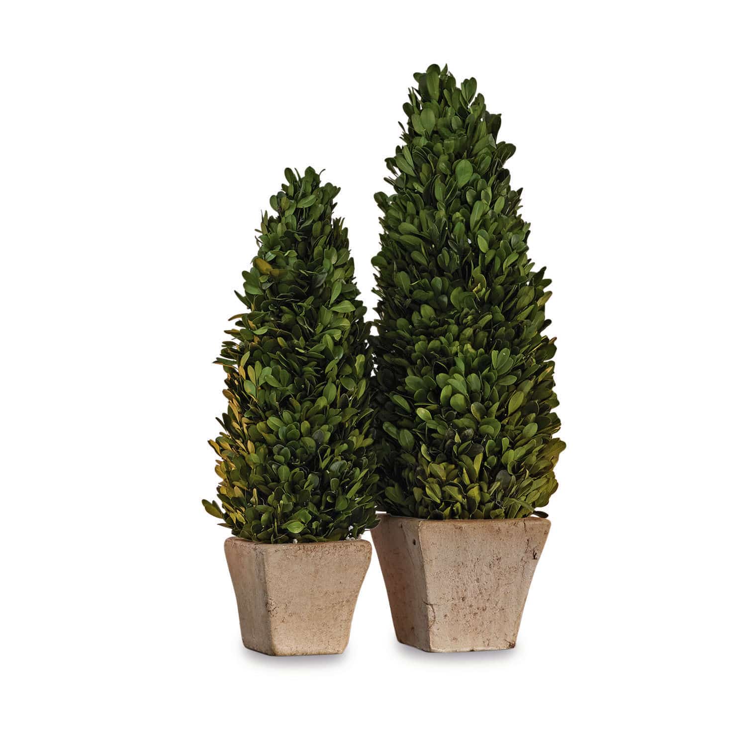 Lot de 2 arbres décoratifs Pierry