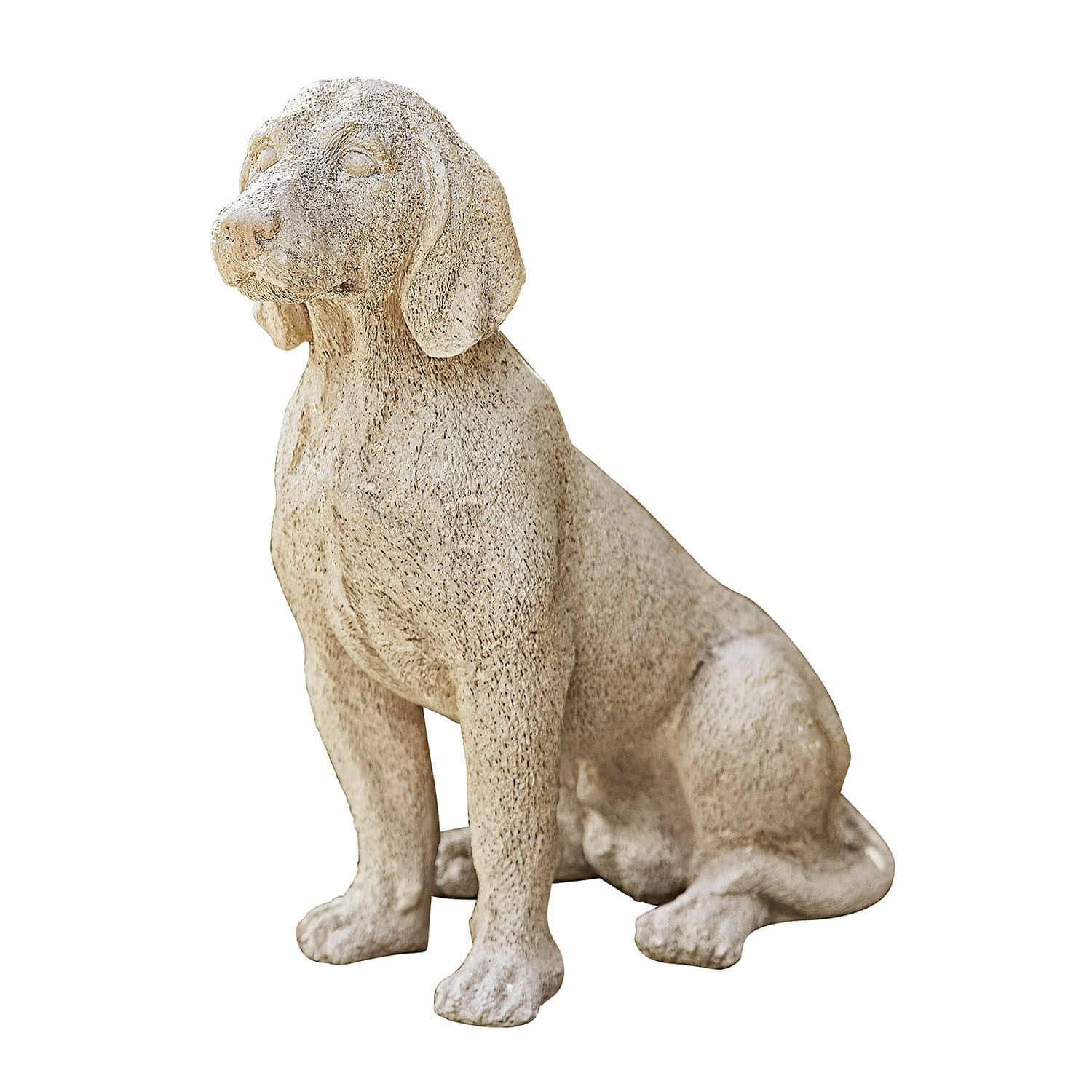 Chien décoratif Albinor