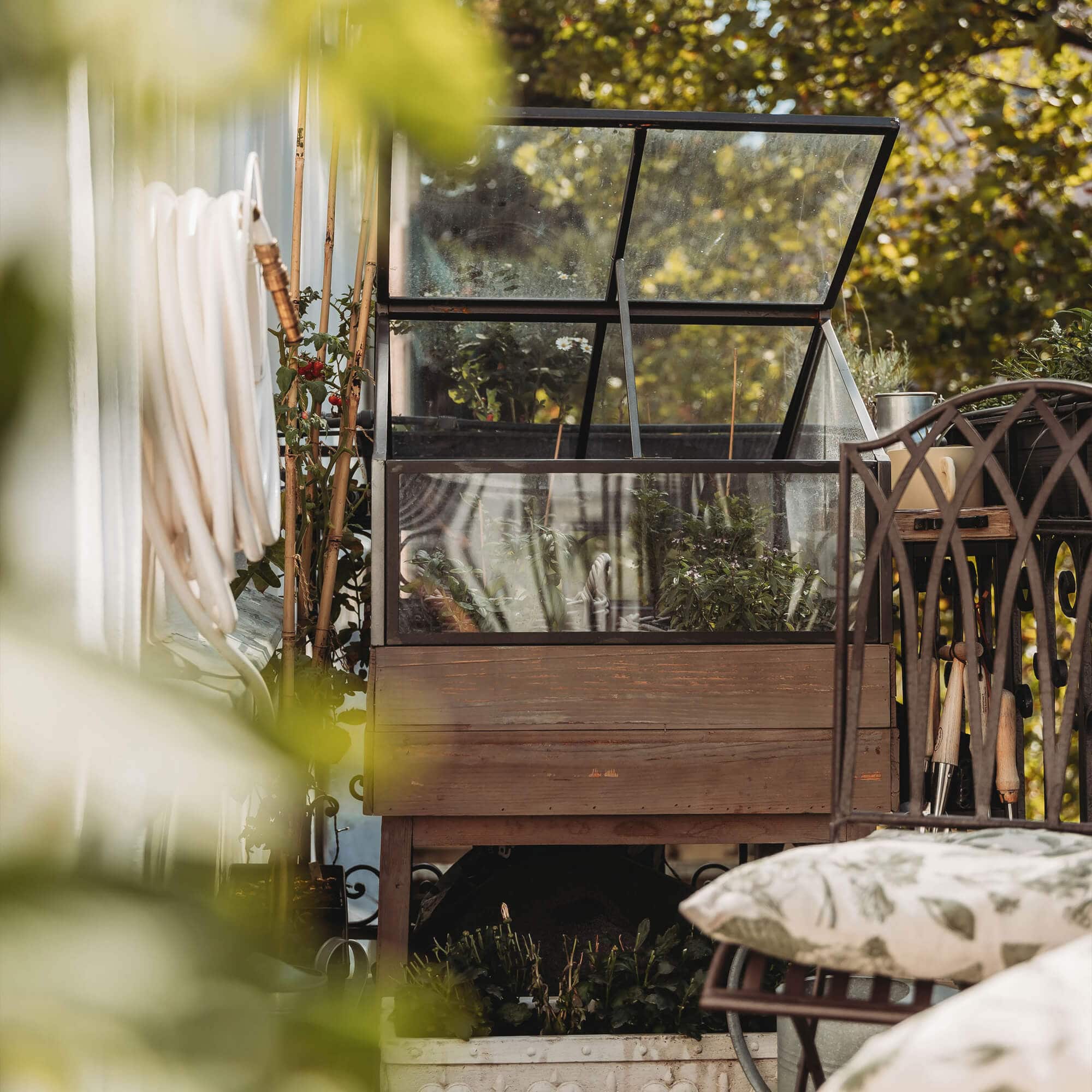Petite serre de jardin en bois avec plantes et outils de jardinage sur une terrasse ensoleillée