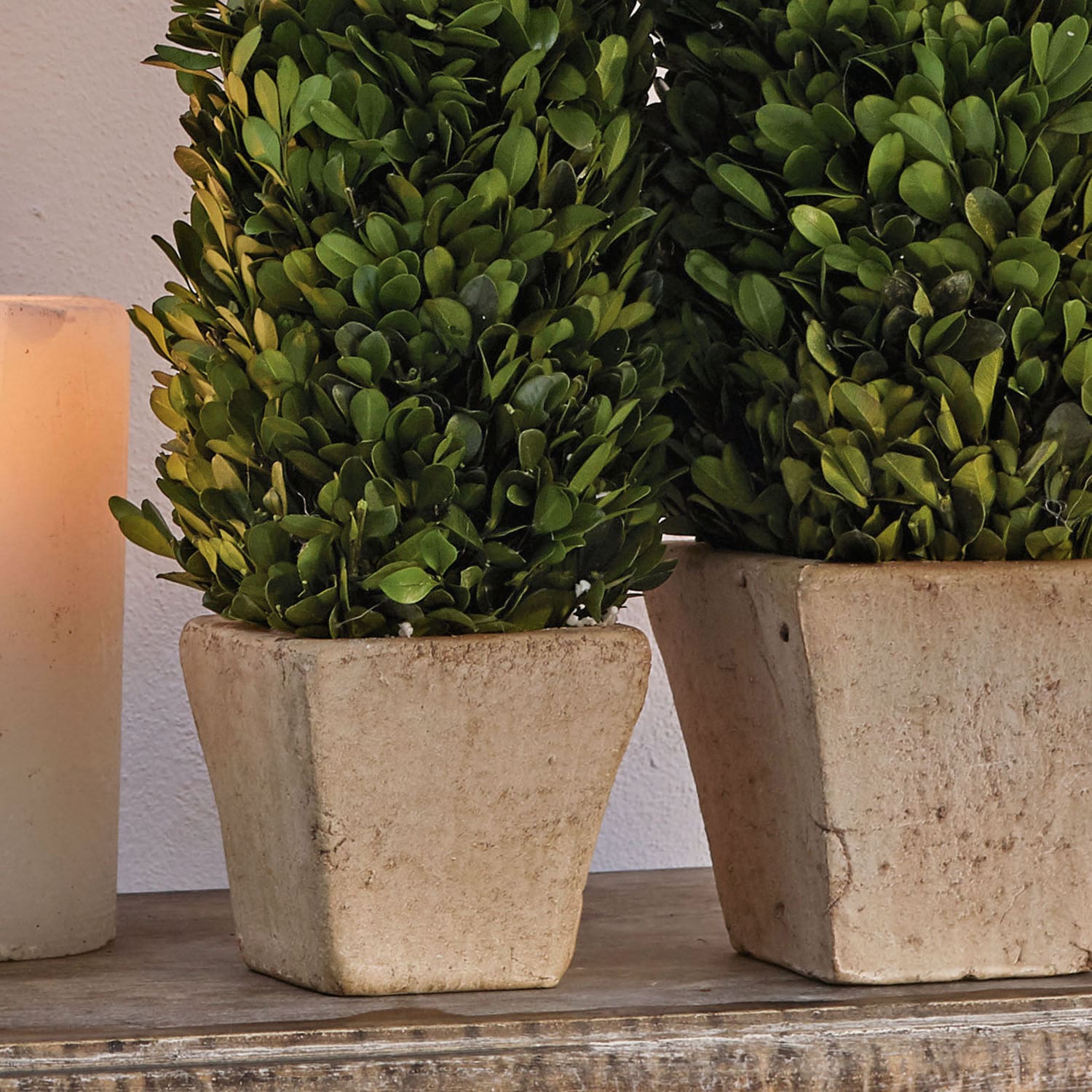 Lot de 2 arbres décoratifs Pierry
