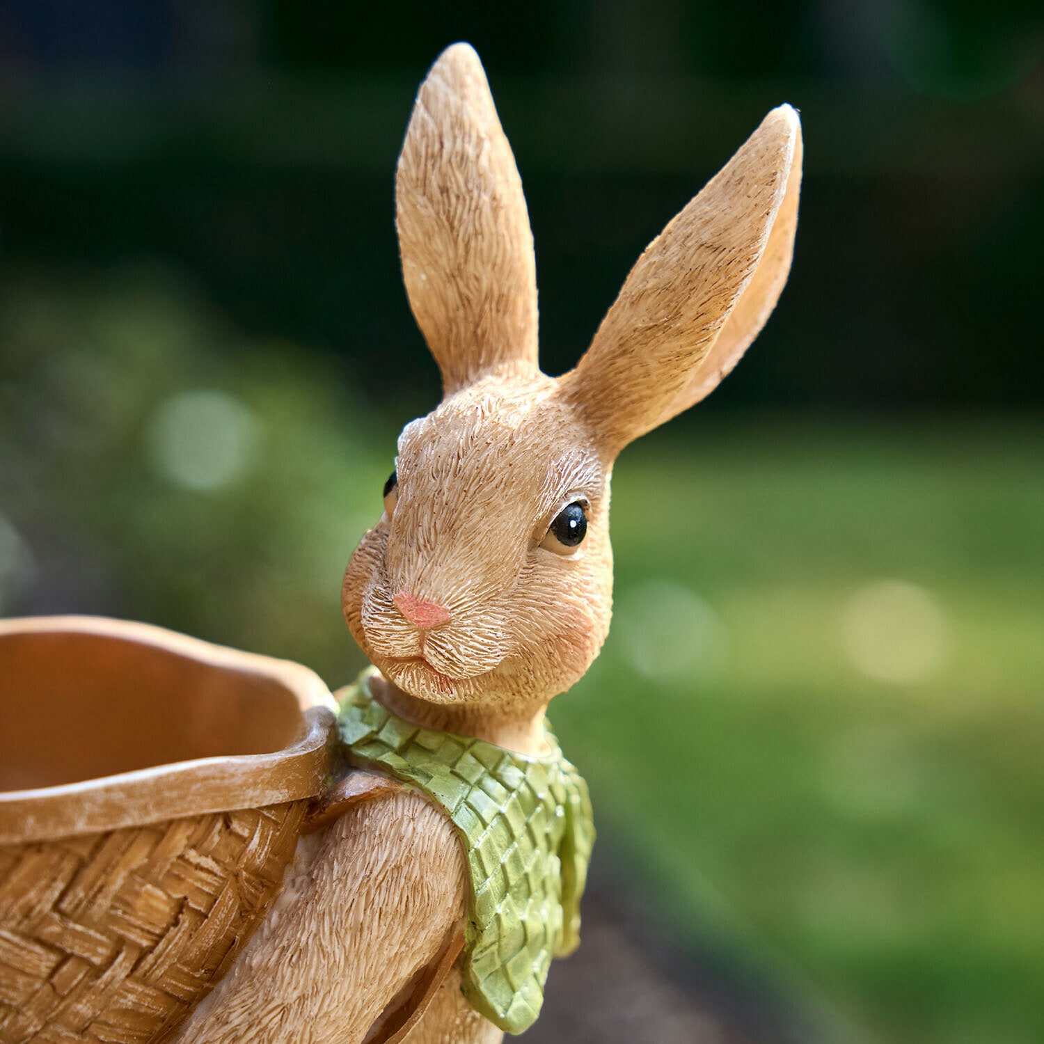 Lapins Bramblet