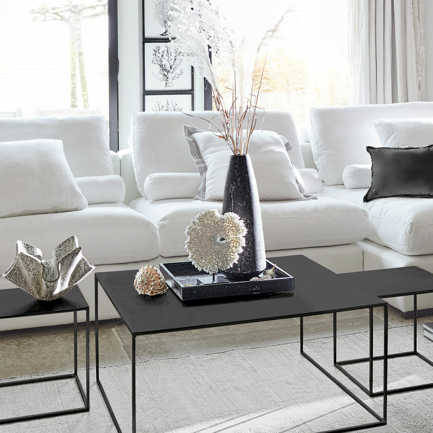 Corail décoratif Condière