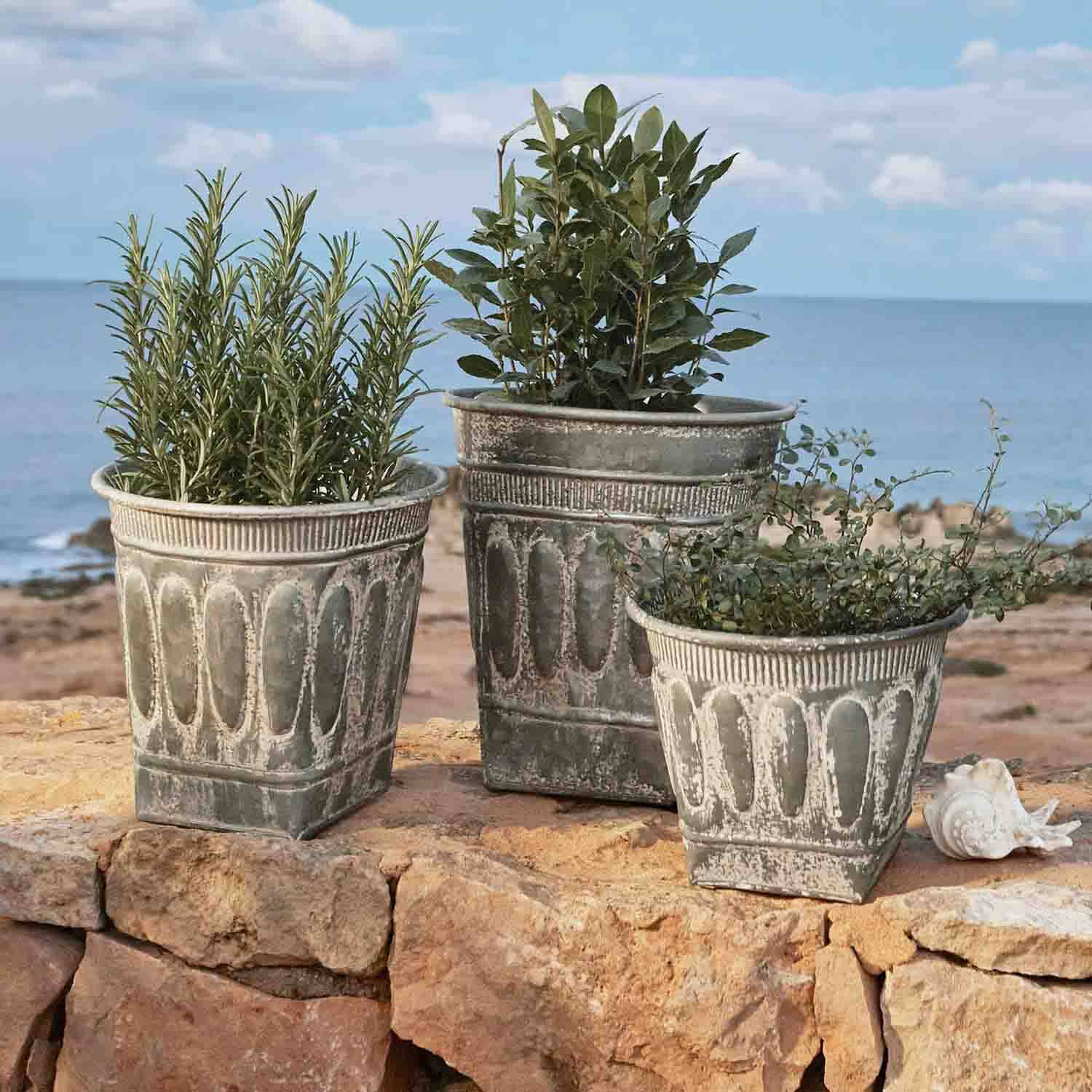 Trois pots décoratifs en métal vieilli gris avec plantes vertes devant la mer, jardin extérieur