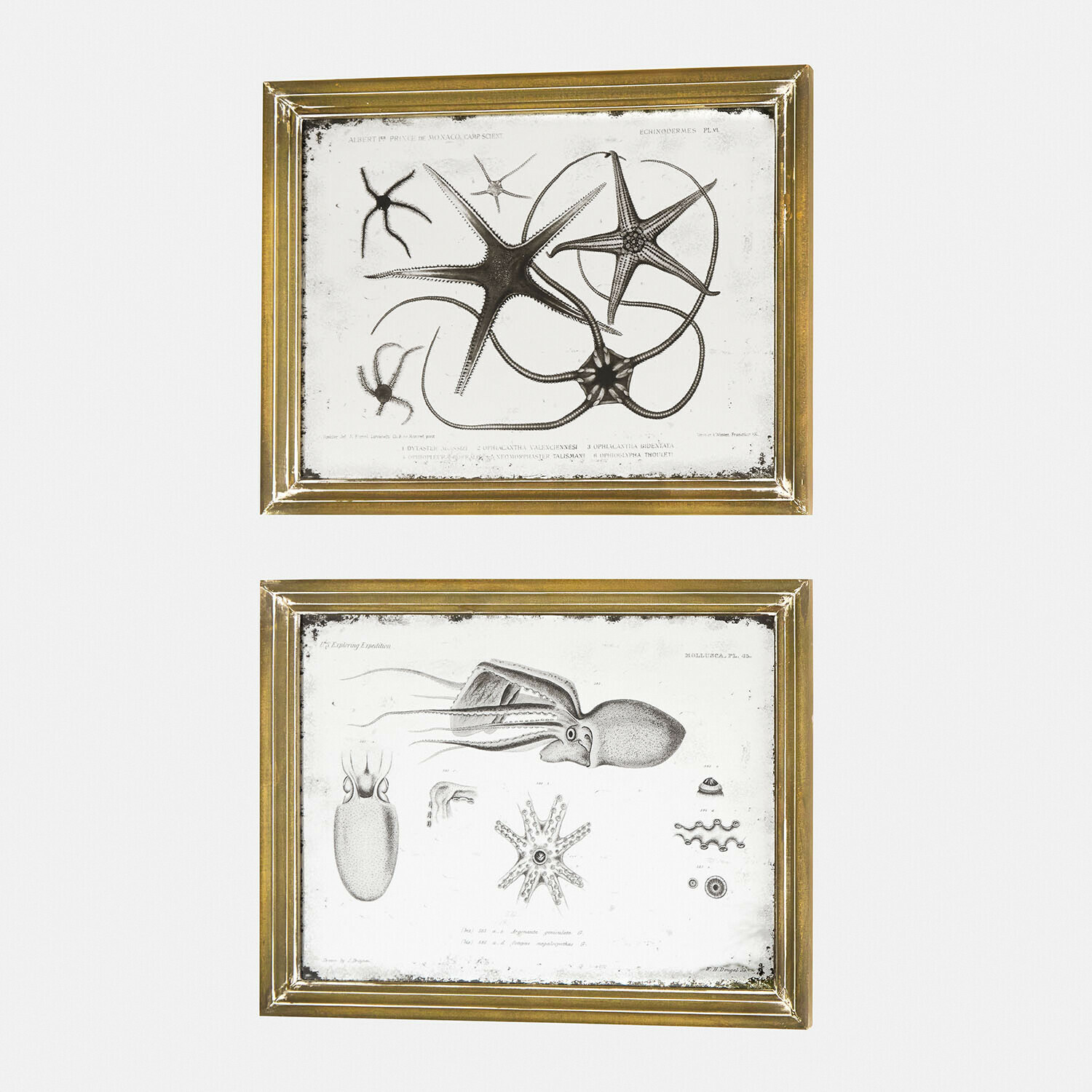 Lot de 2 miroirs à motifs Marivelles