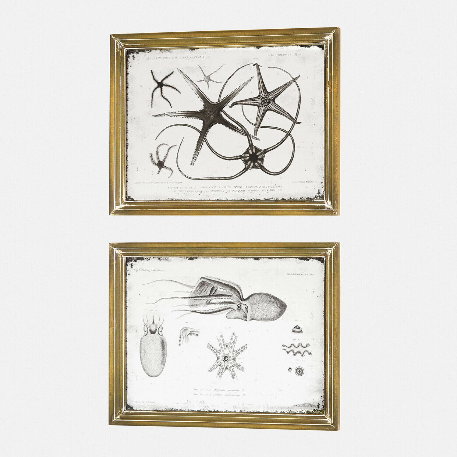 Lot de 2 miroirs à motifs Marivelles