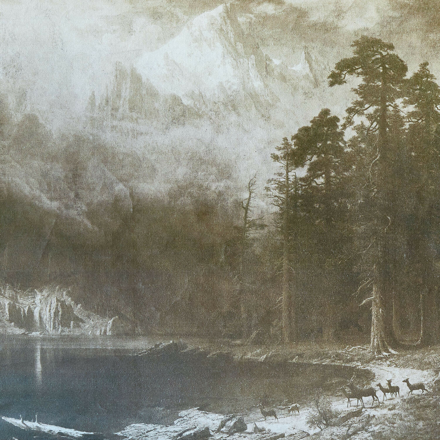 Tableau Belle Horizon