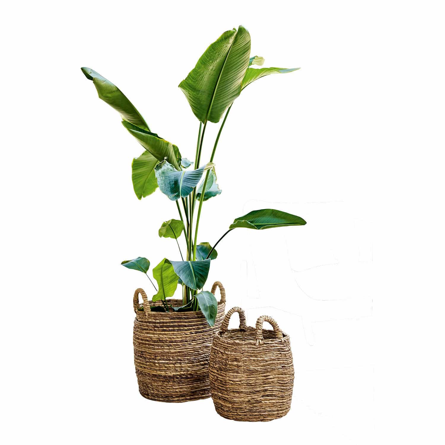 Lot de 2 paniers Carlin
