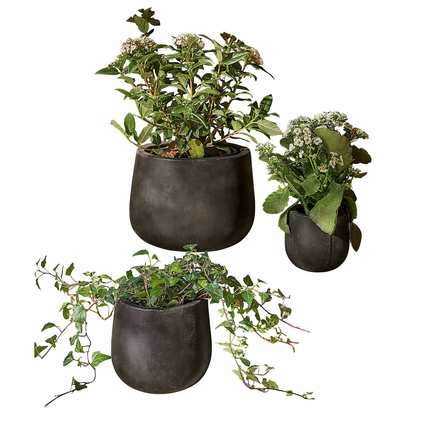 Ensemble de 3 pots noirs mats Sunvale avec plantes vertes pour décoration intérieure moderne