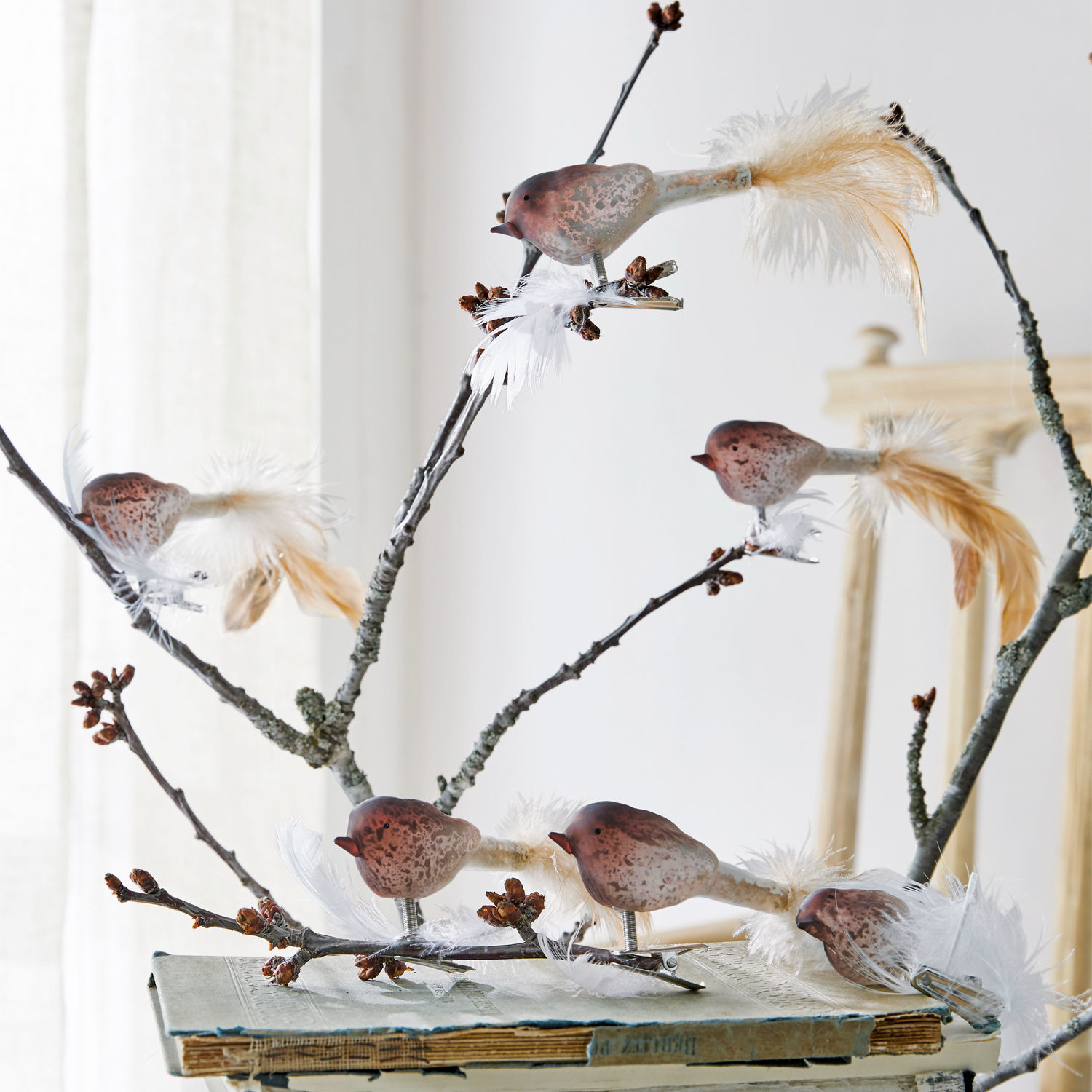 Lot de 6 oiseaux Ceallach
