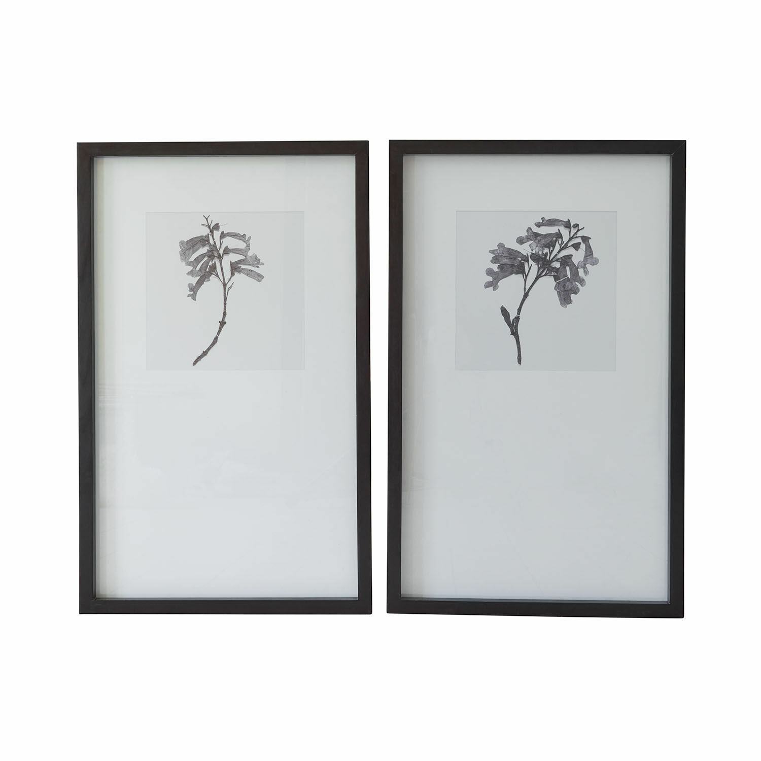 Lot de 2 tableaux Virelune