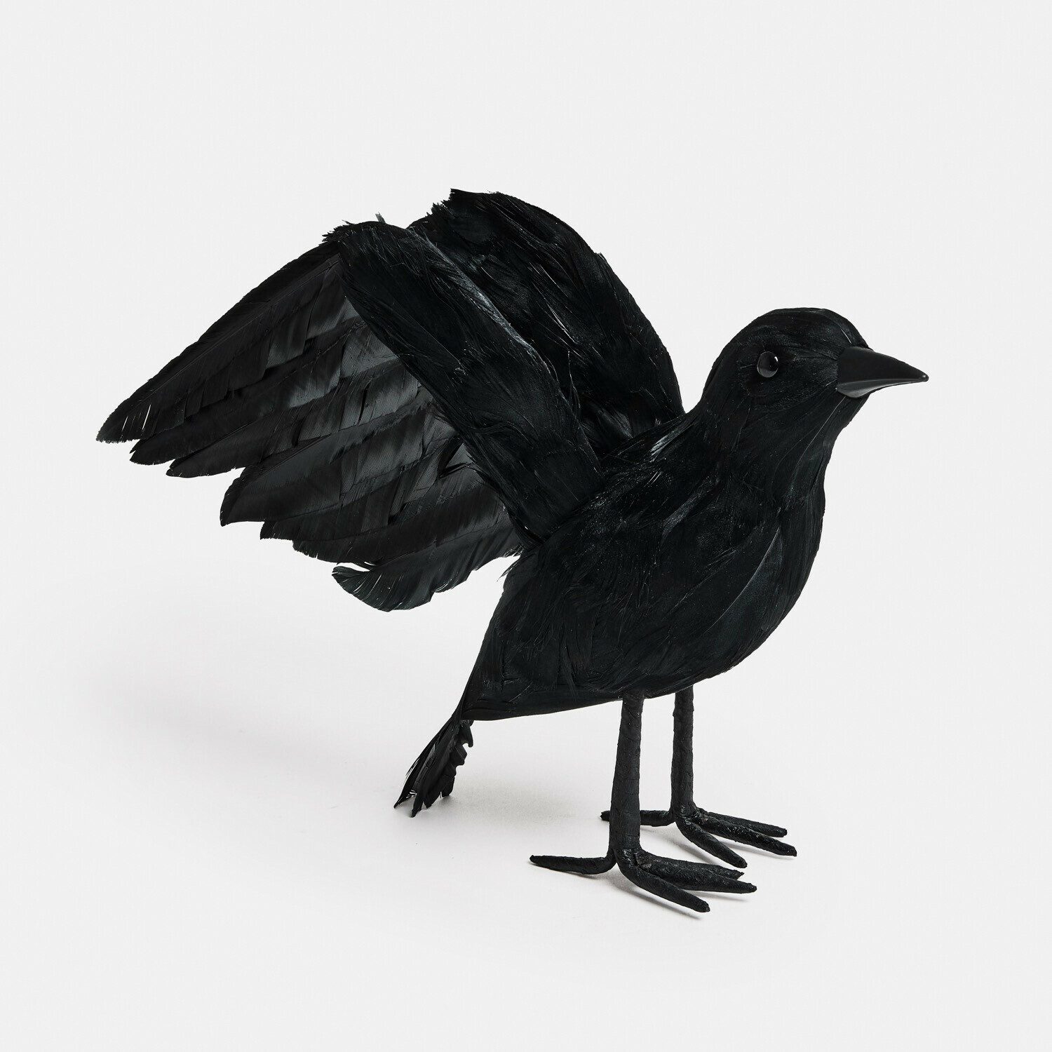 Oiseau décoratif Faelron