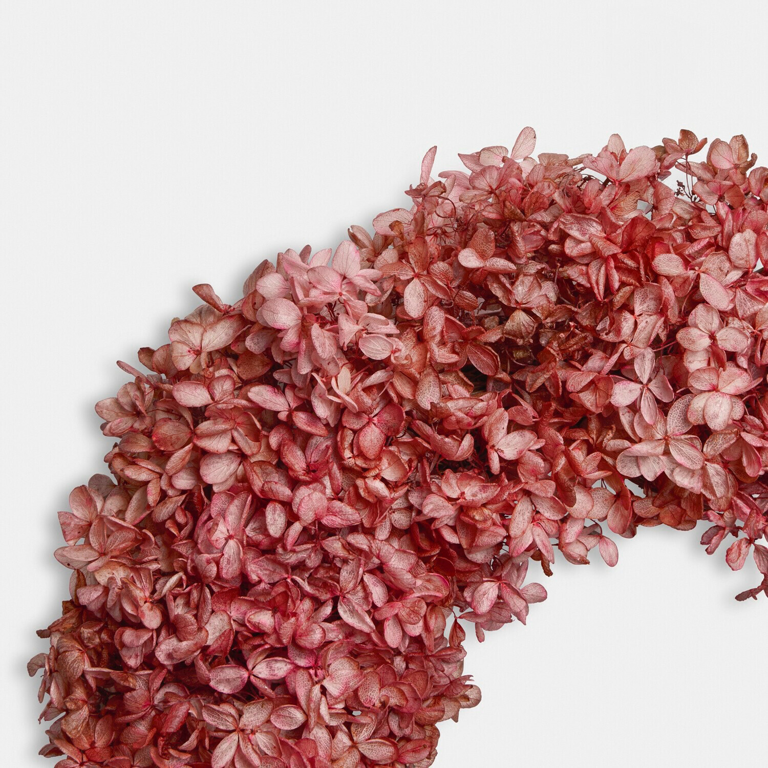 Couronne de fleurs séchées Amélorie