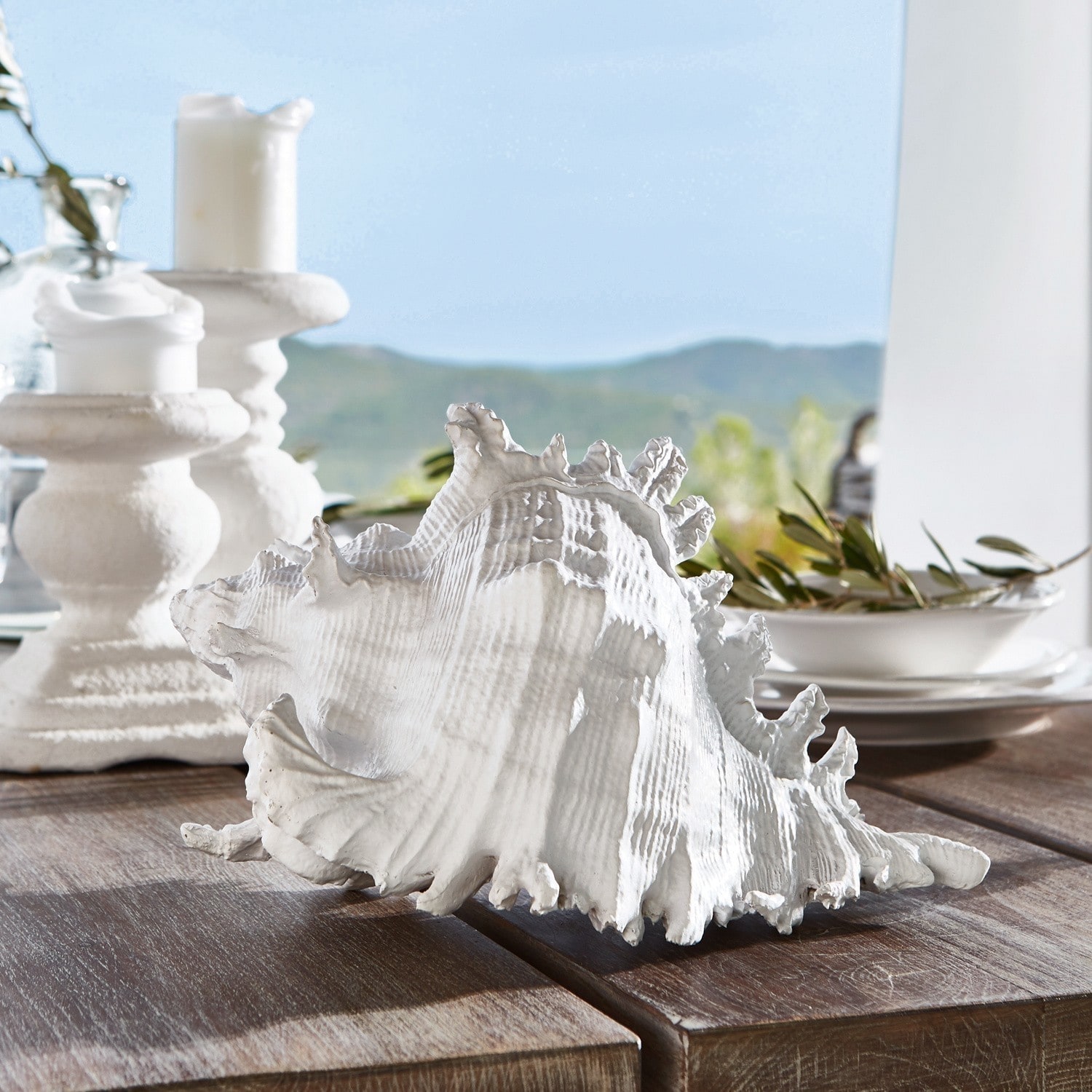 Coquillage Mariola