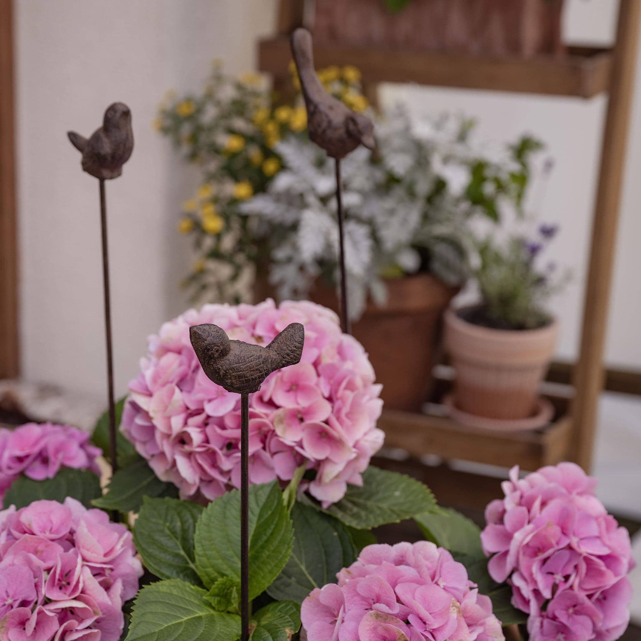 Oiseaux décoratifs en métal sur tiges parmi des fleurs d'hortensia roses dans un jardin