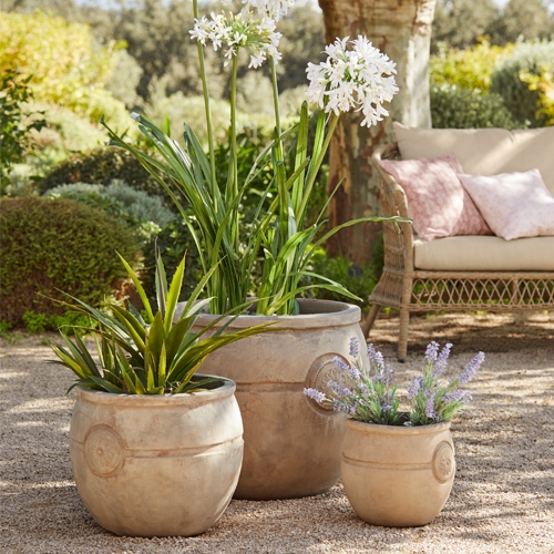 Trois pots en terre cuite beige avec plantes vertes et fleurs blanches dans un jardin extérieur