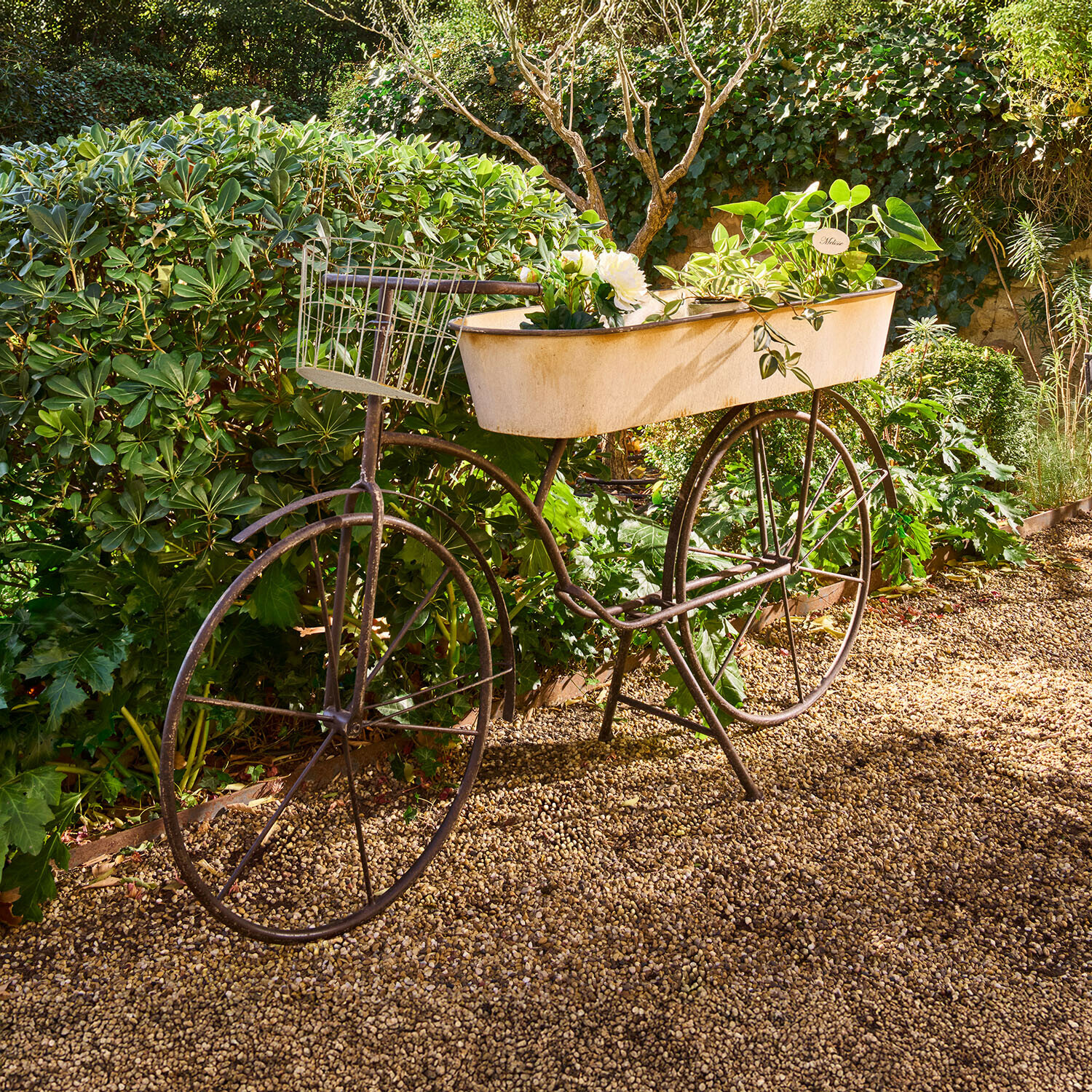 Vélo décoratif en métal avec jardinière blanche et plantes vertes sur chemin de gravier dans un jardin