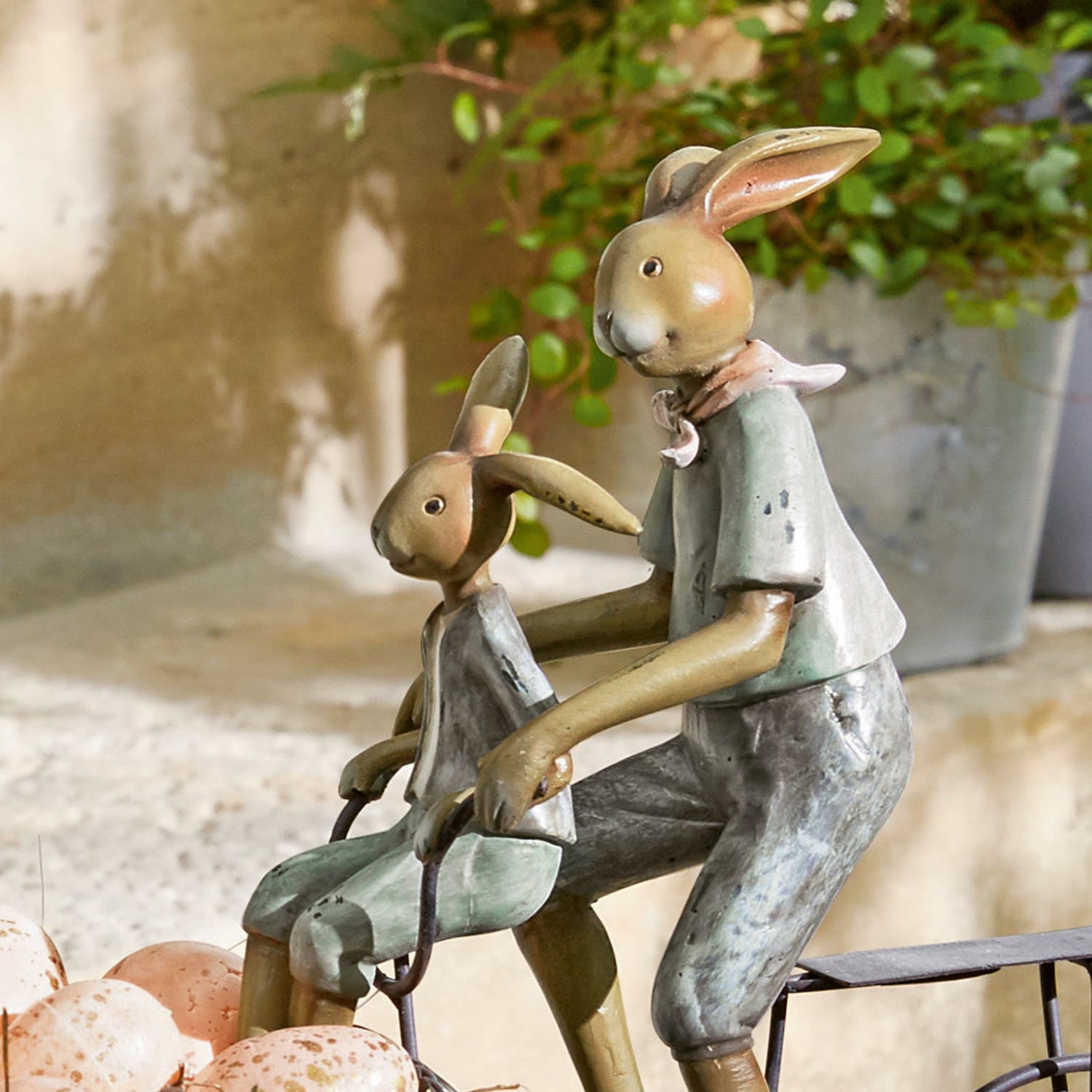 Lapin Caen
