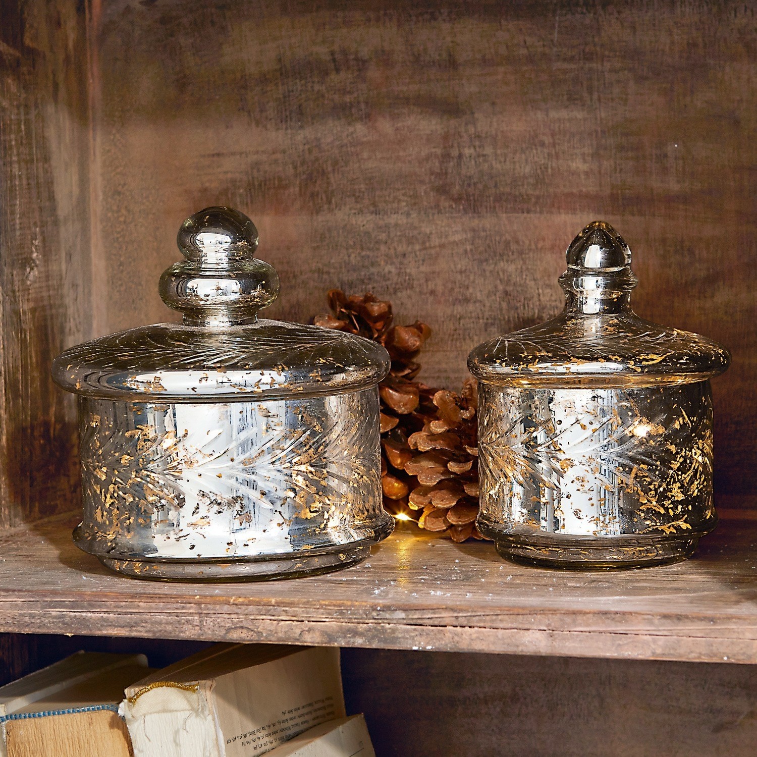Lot de 2 pots en verre Elexa