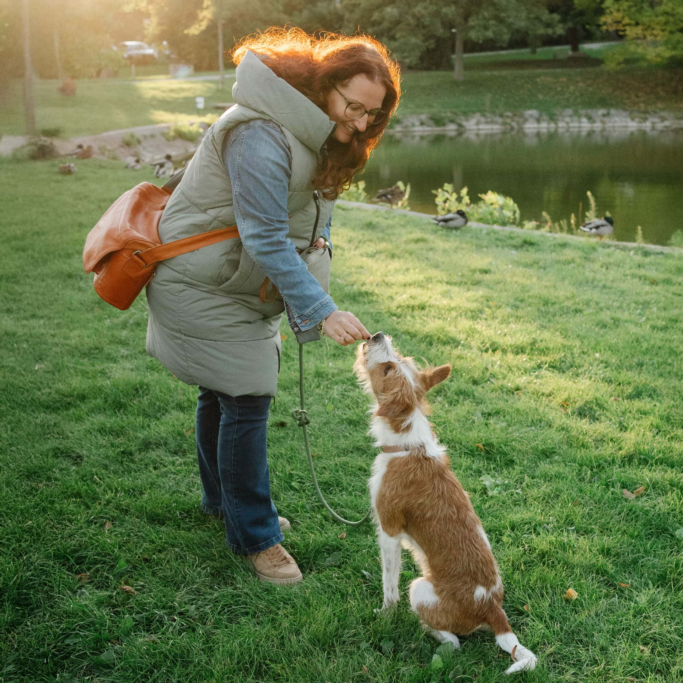 Femme en gilet vert et jean bleu donnant une friandise à un chien assis sur l'herbe dans un parc