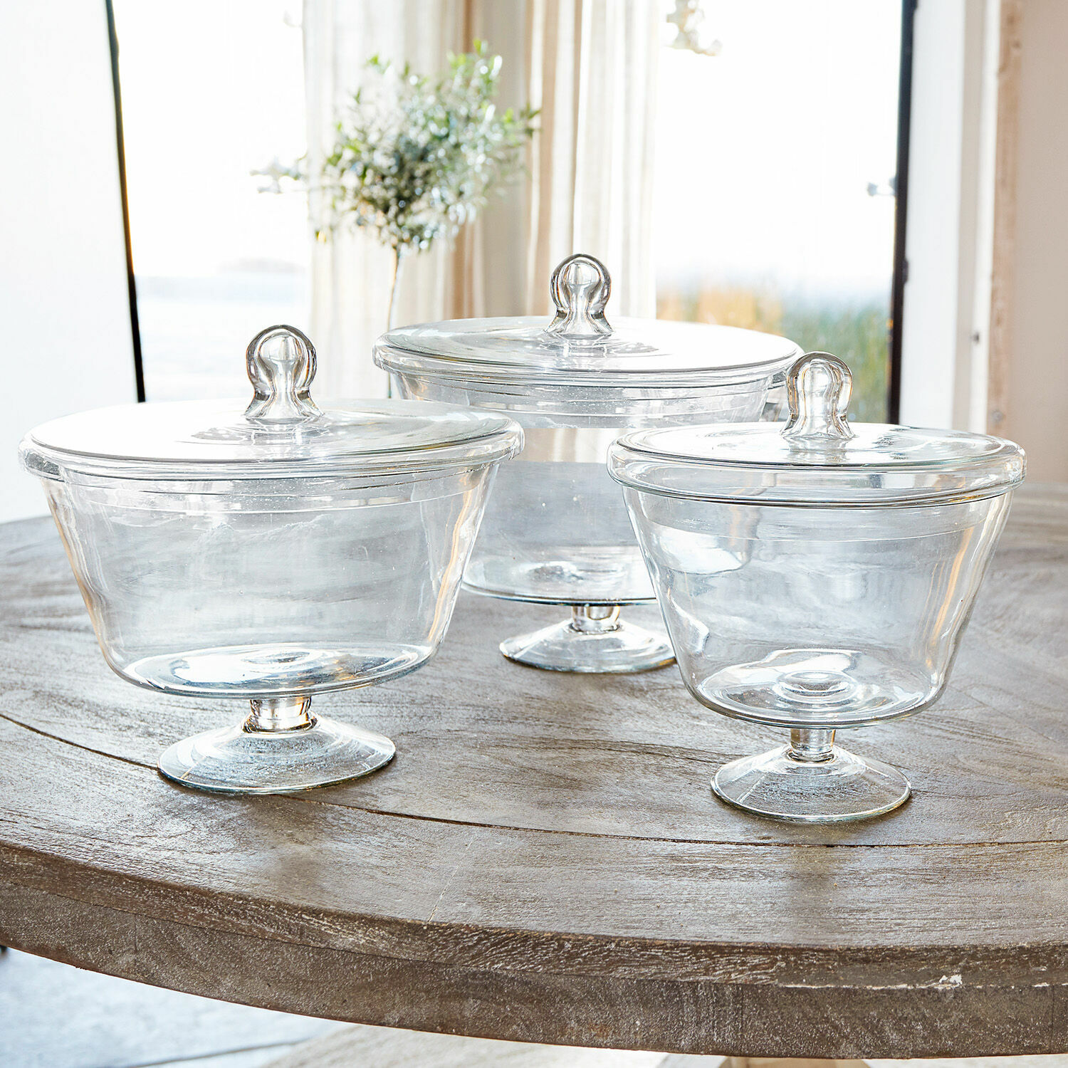 Lot de 3 pots Elliant