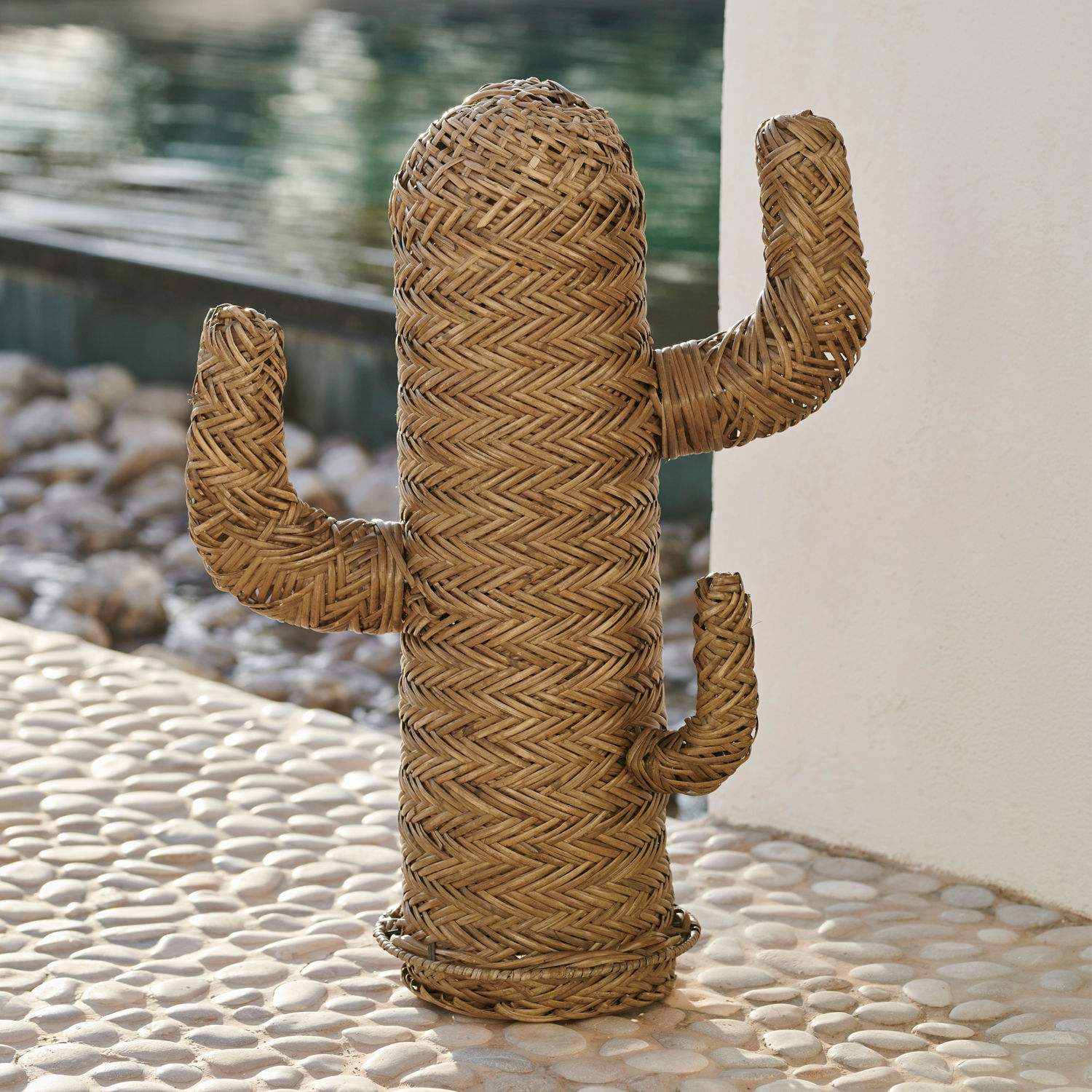 Cactus décoratif Basse