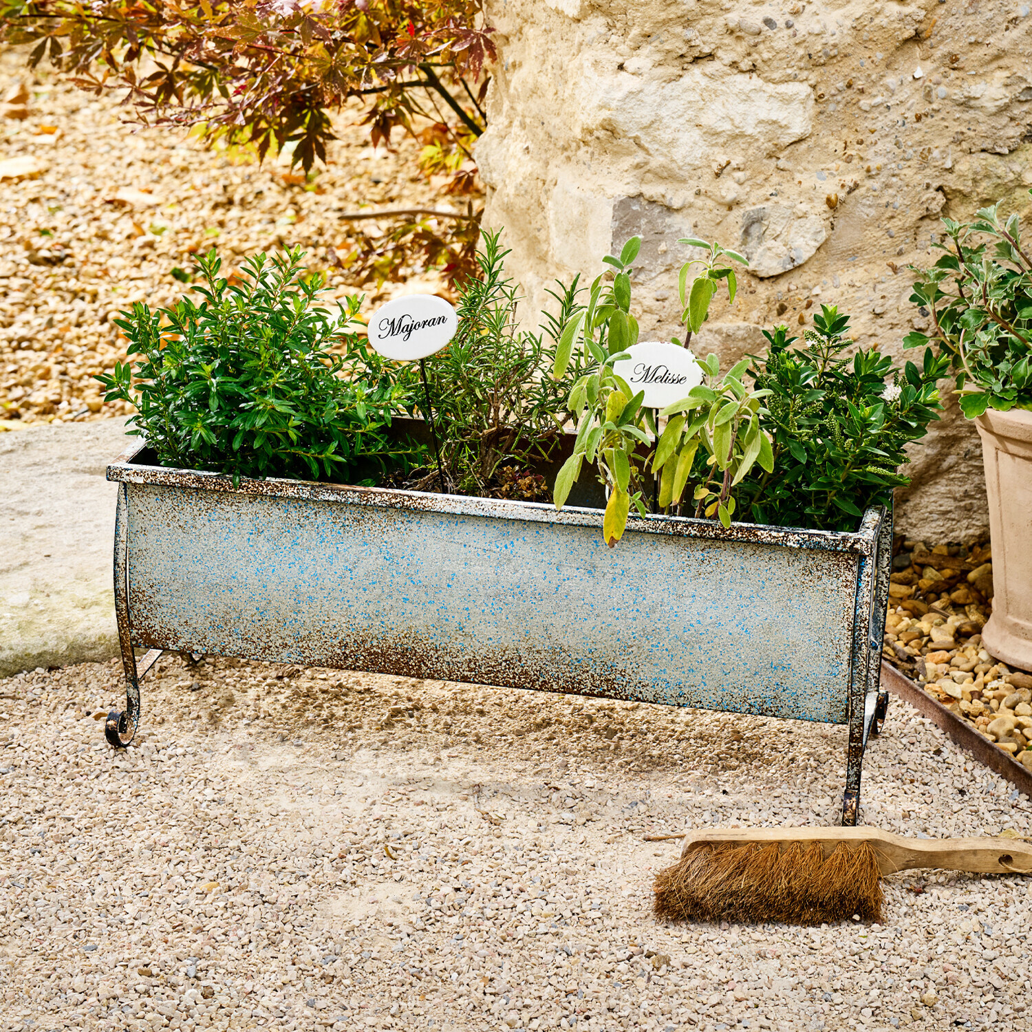 Cache-pot Louvière Jardinière en métal vintage avec herbes fraîches de marjolaine et mélisse sur sol gravillonné extérieur