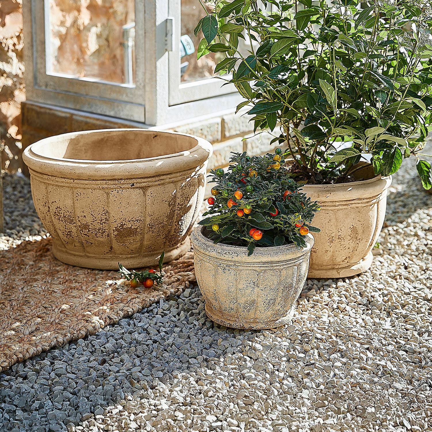 Cache-pot Lot de 3 Jalexin Trois pots en terre cuite beige sur gravier, deux avec plantes décoratives et fruits colorés